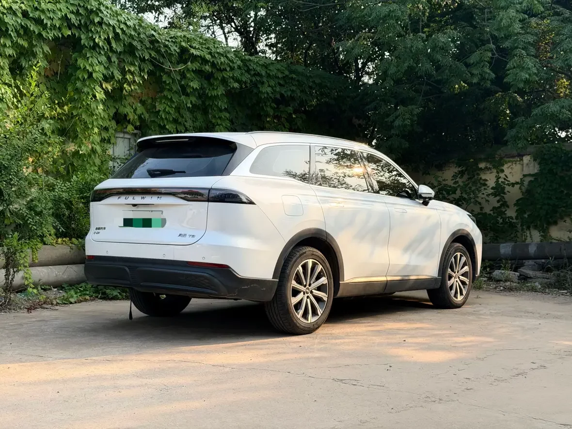 Chery Fengyun T9