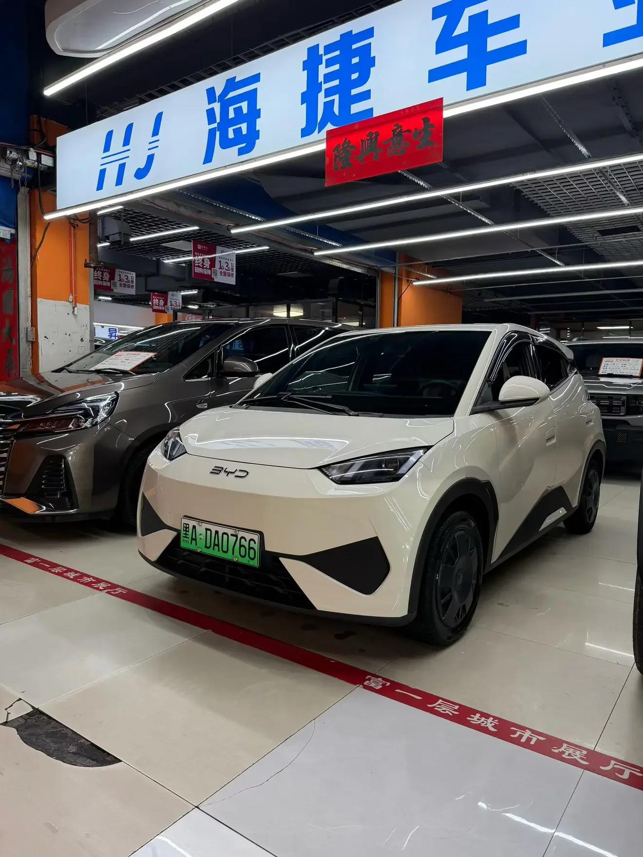 BYD seagull