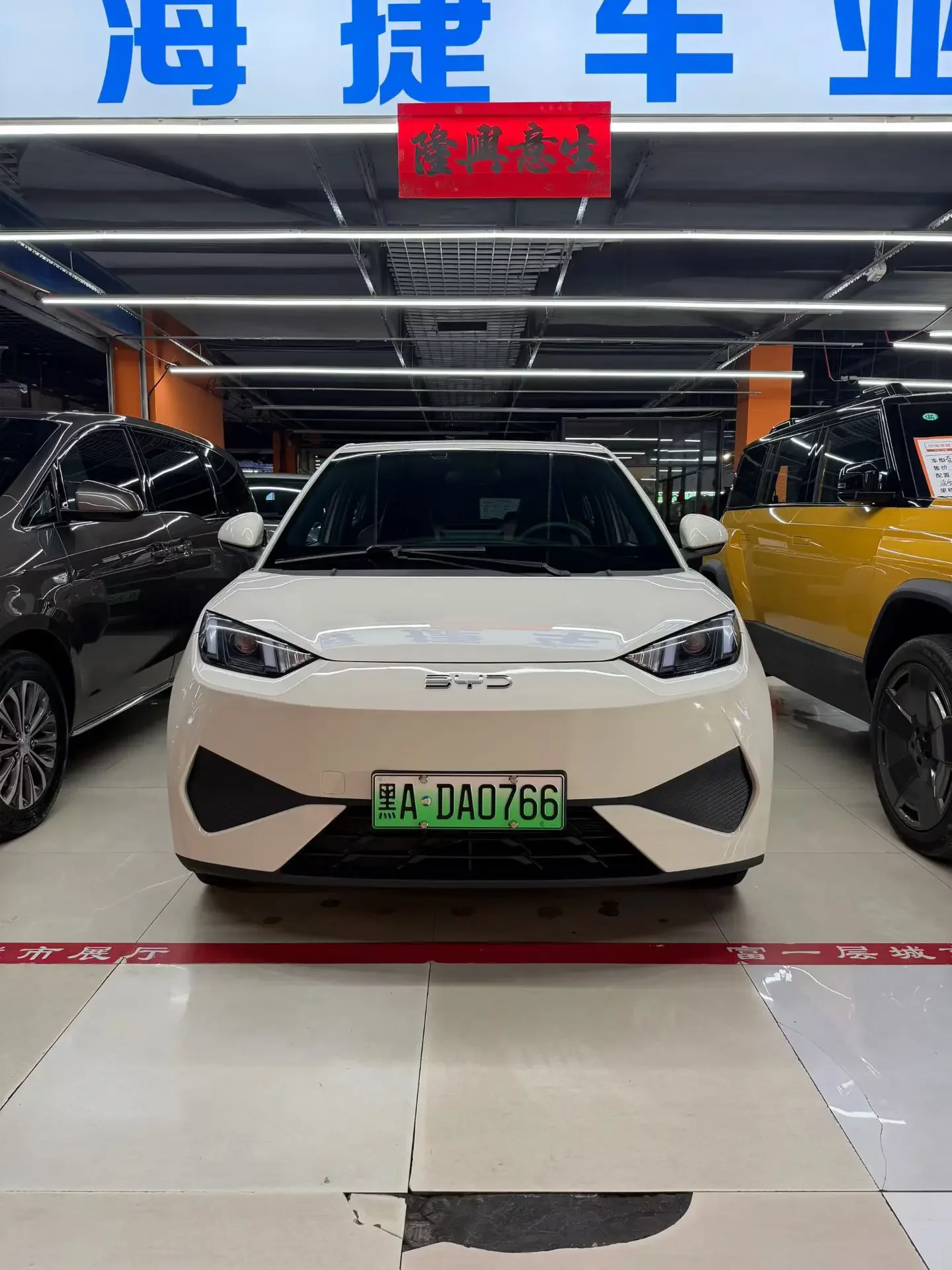 BYD seagull