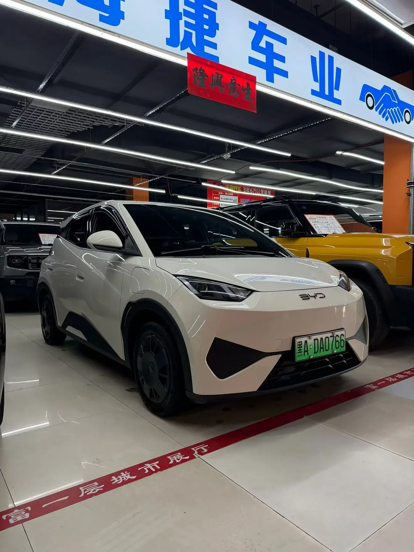 BYD seagull