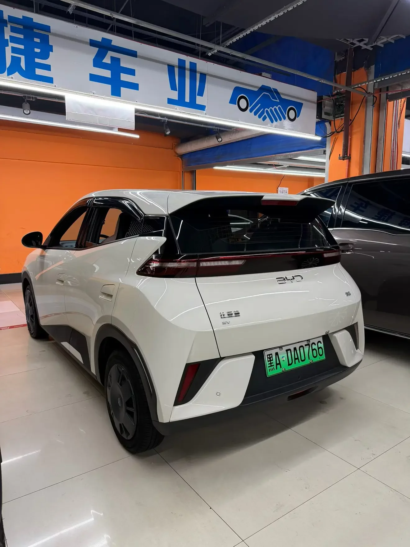 BYD seagull