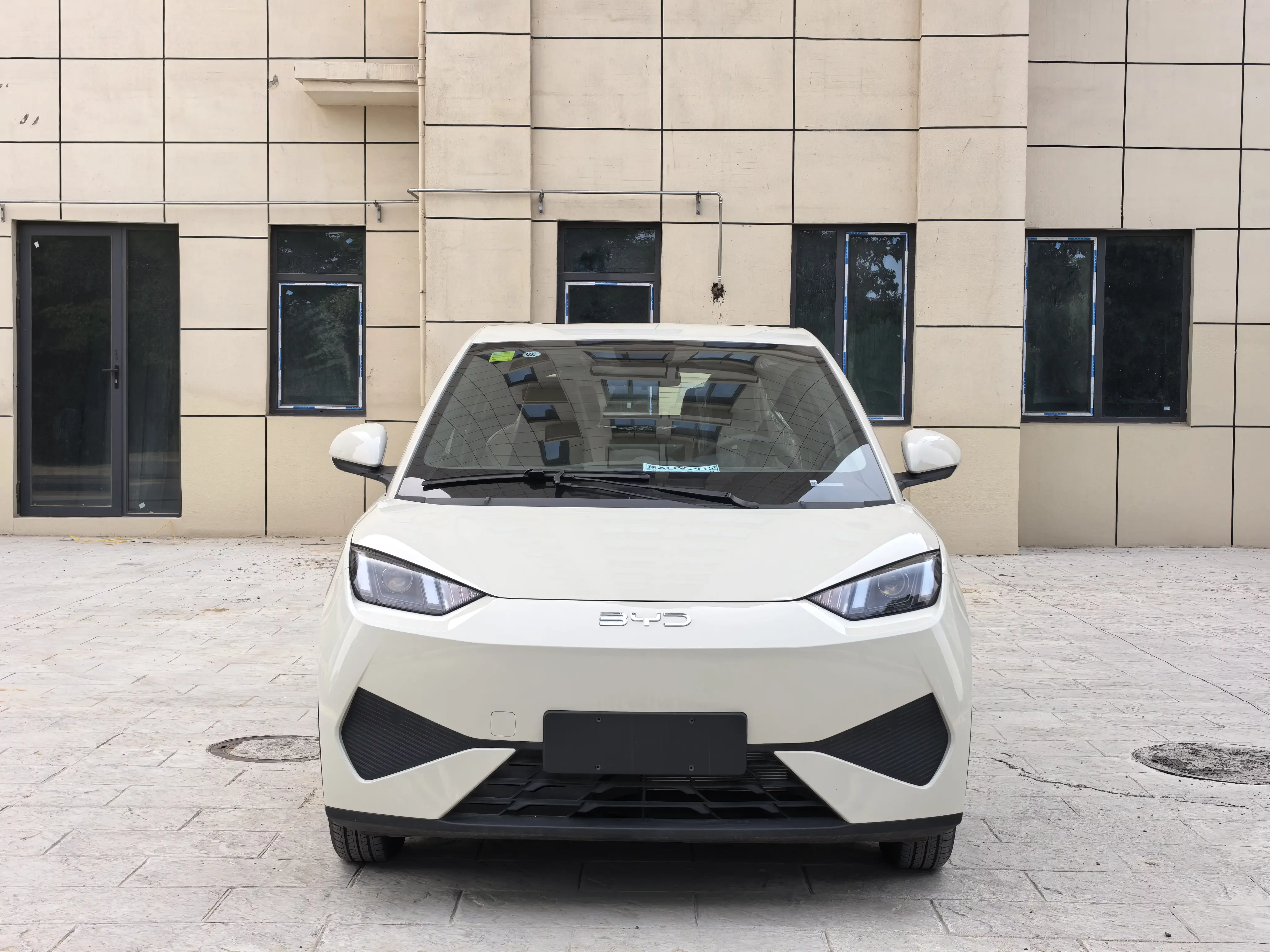 BYD seagull