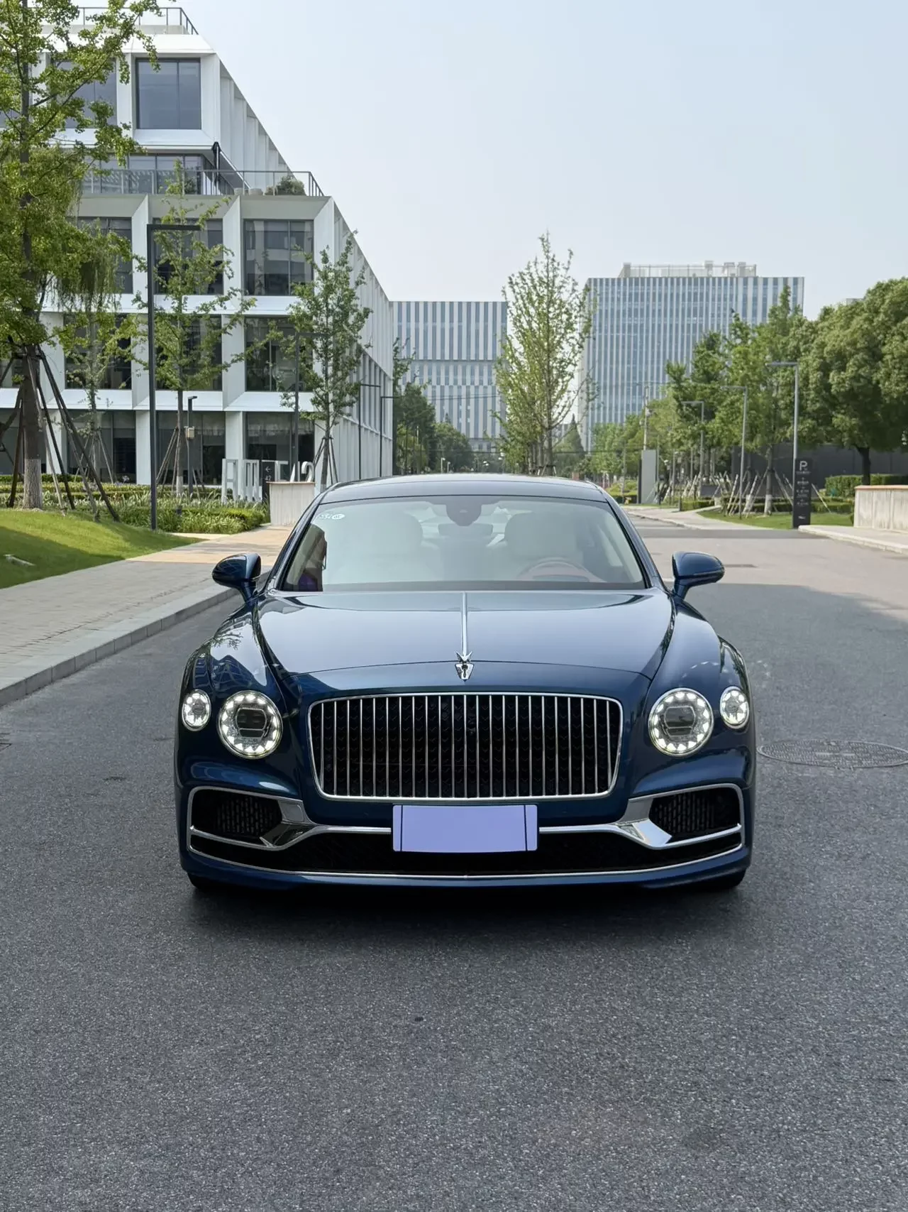Bentley galloping
