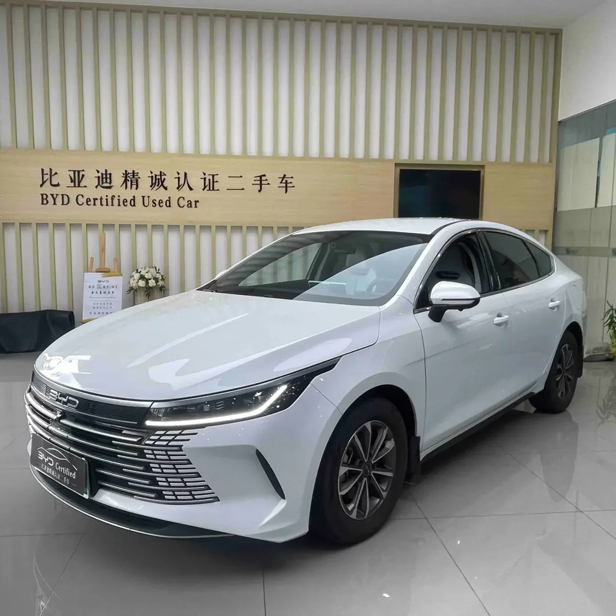BYD Destroyer 05