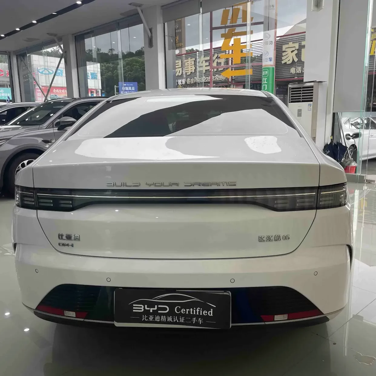 BYD Destroyer 05