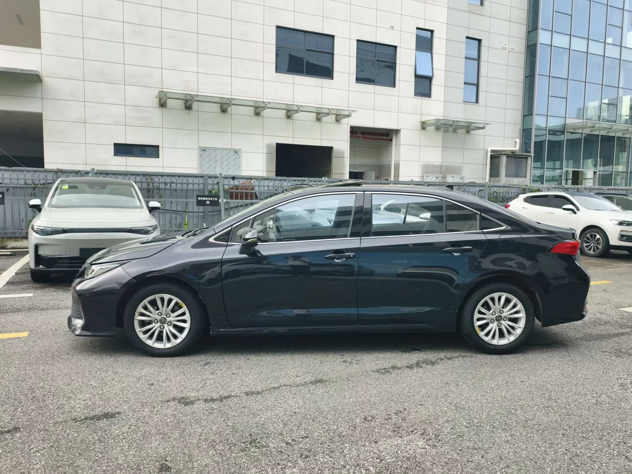 Toyota Asiatic lion