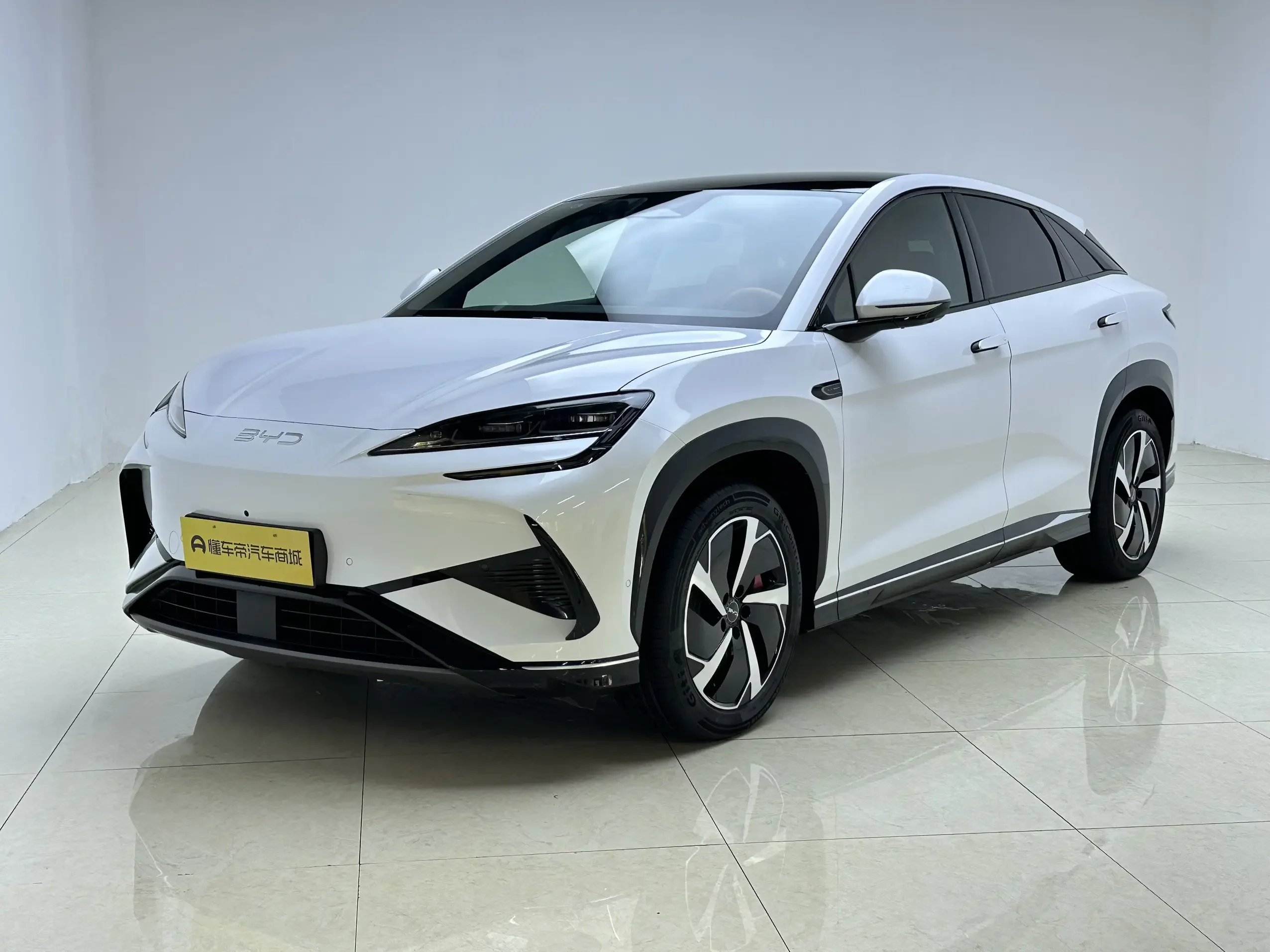 BYD Sea Lion 07EV  из Китая