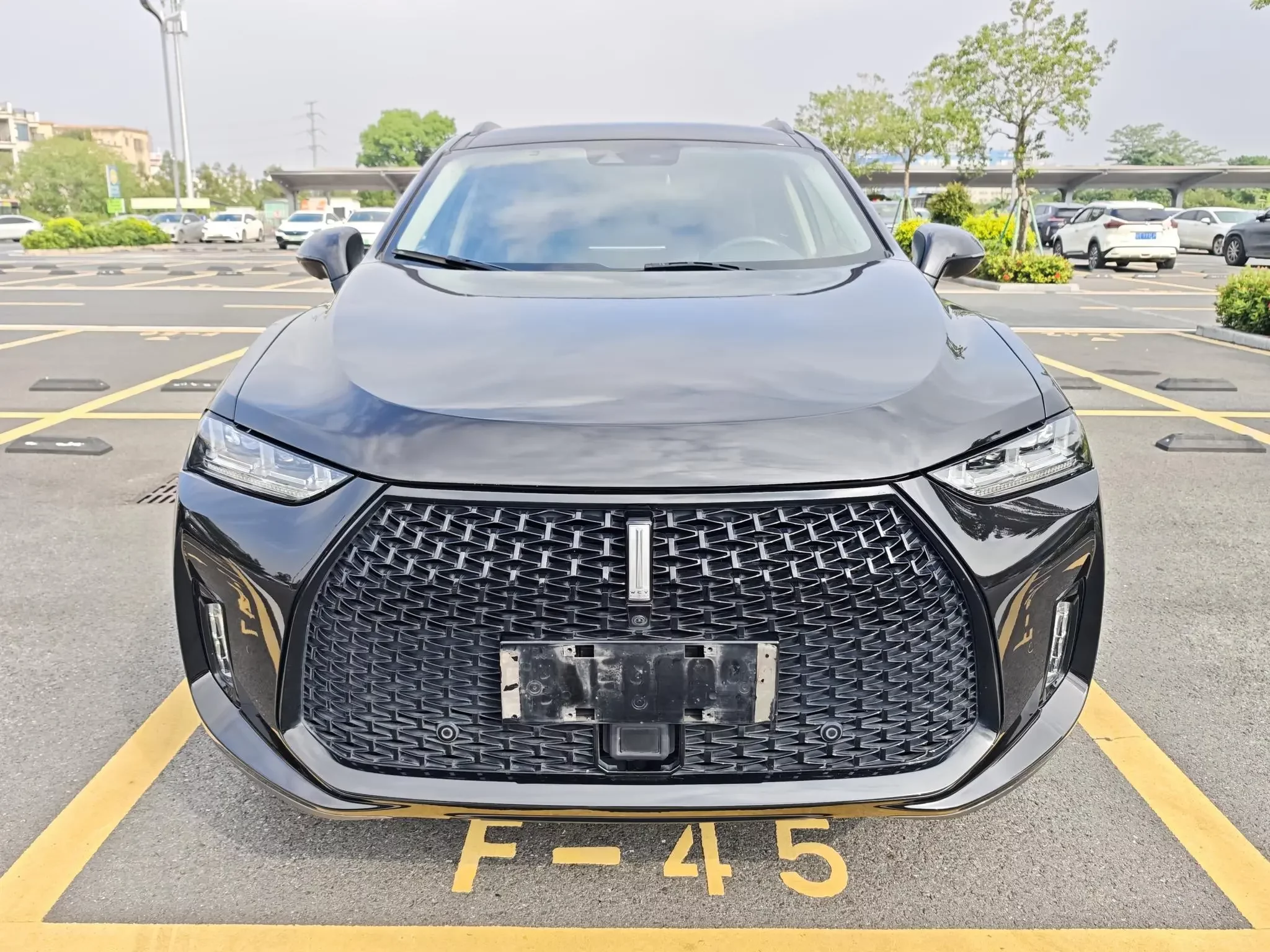 Wey Wei brand P8