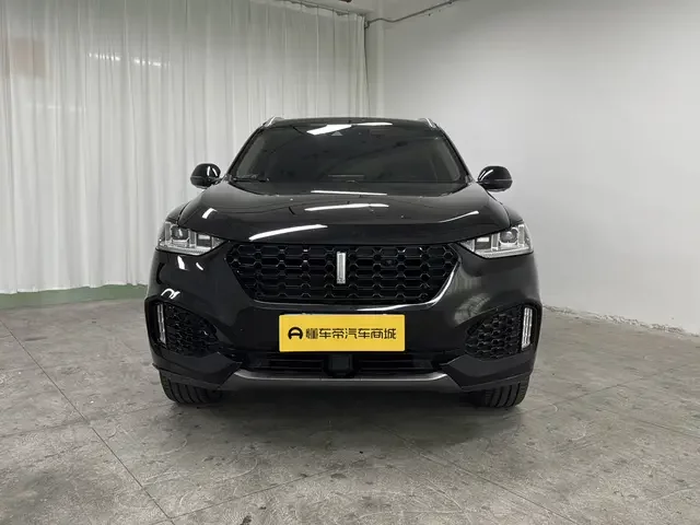 Wey Wei brand VV6