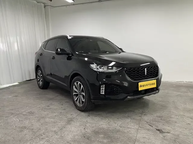 Wey Wei brand VV6