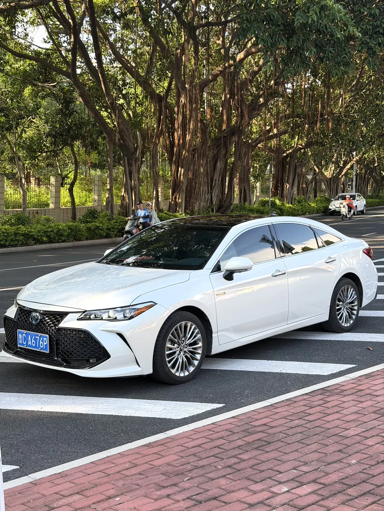 Toyota Avalon