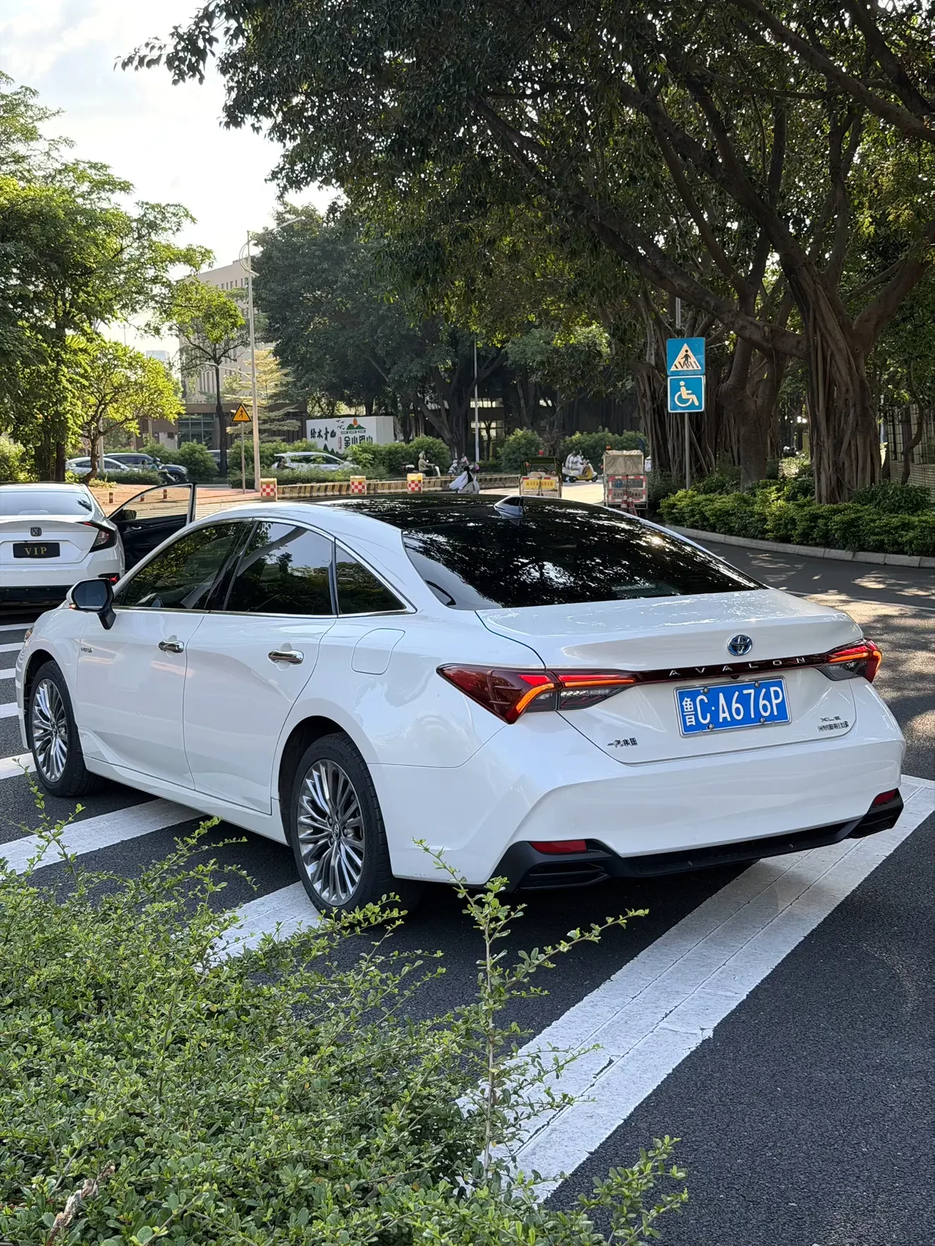 Toyota Avalon