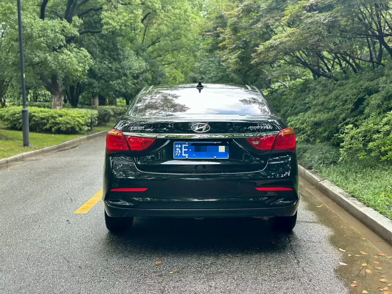 Hyundai famous pictures