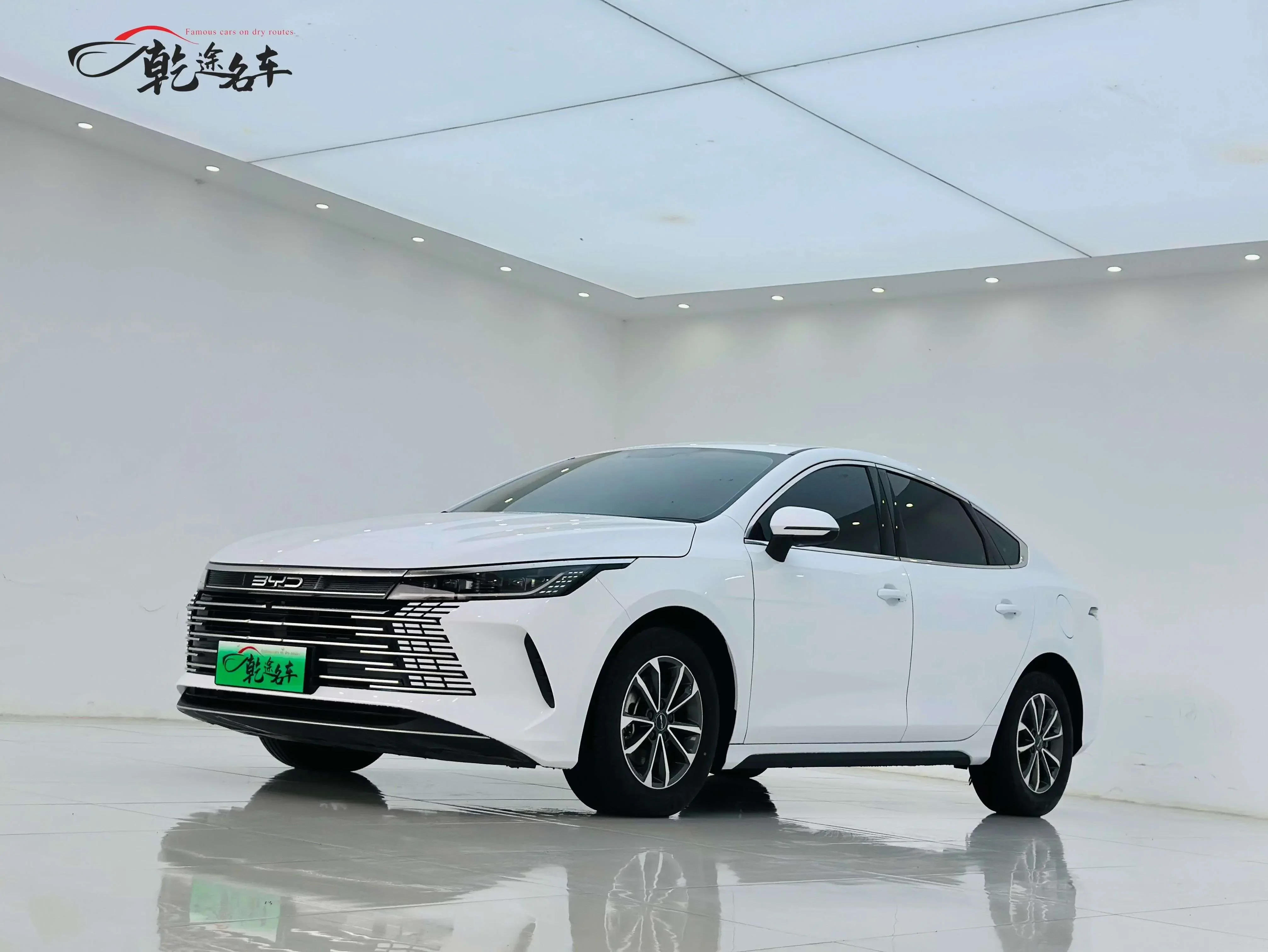 BYD Destroyer 05