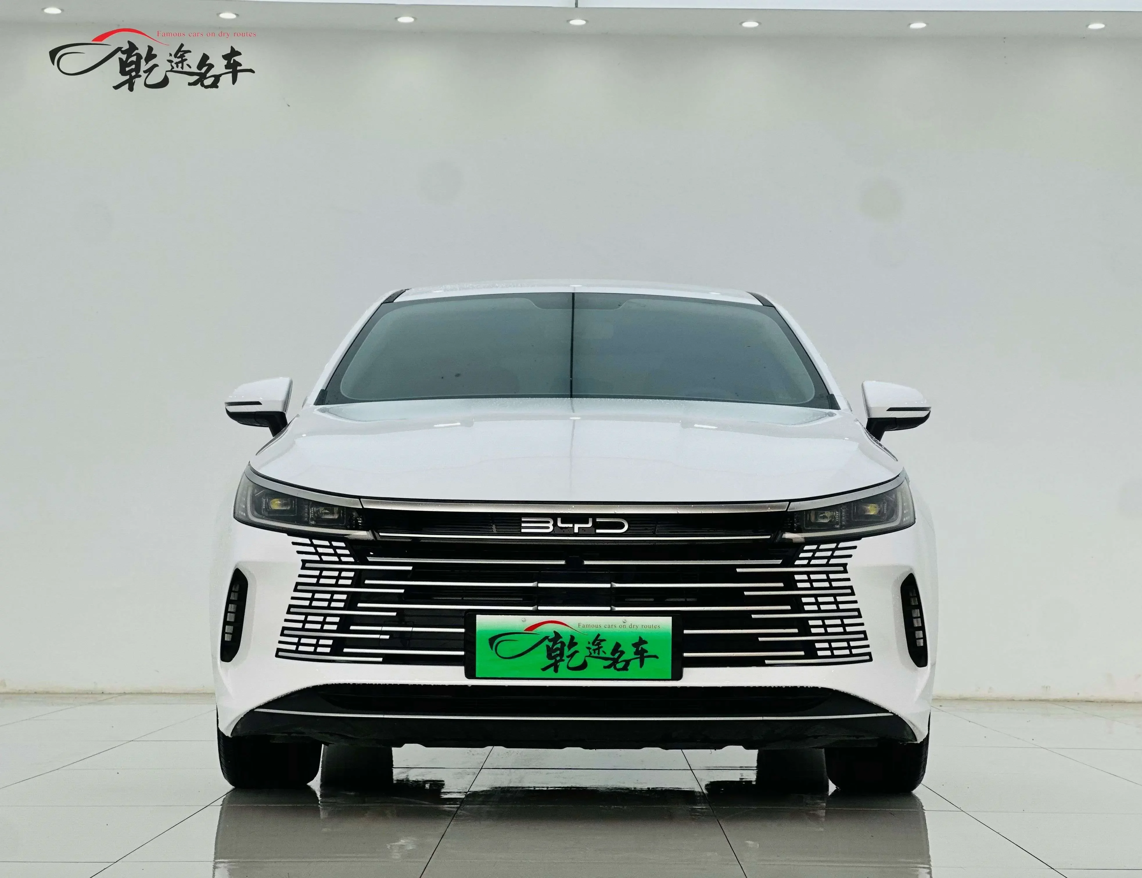 BYD Destroyer 05