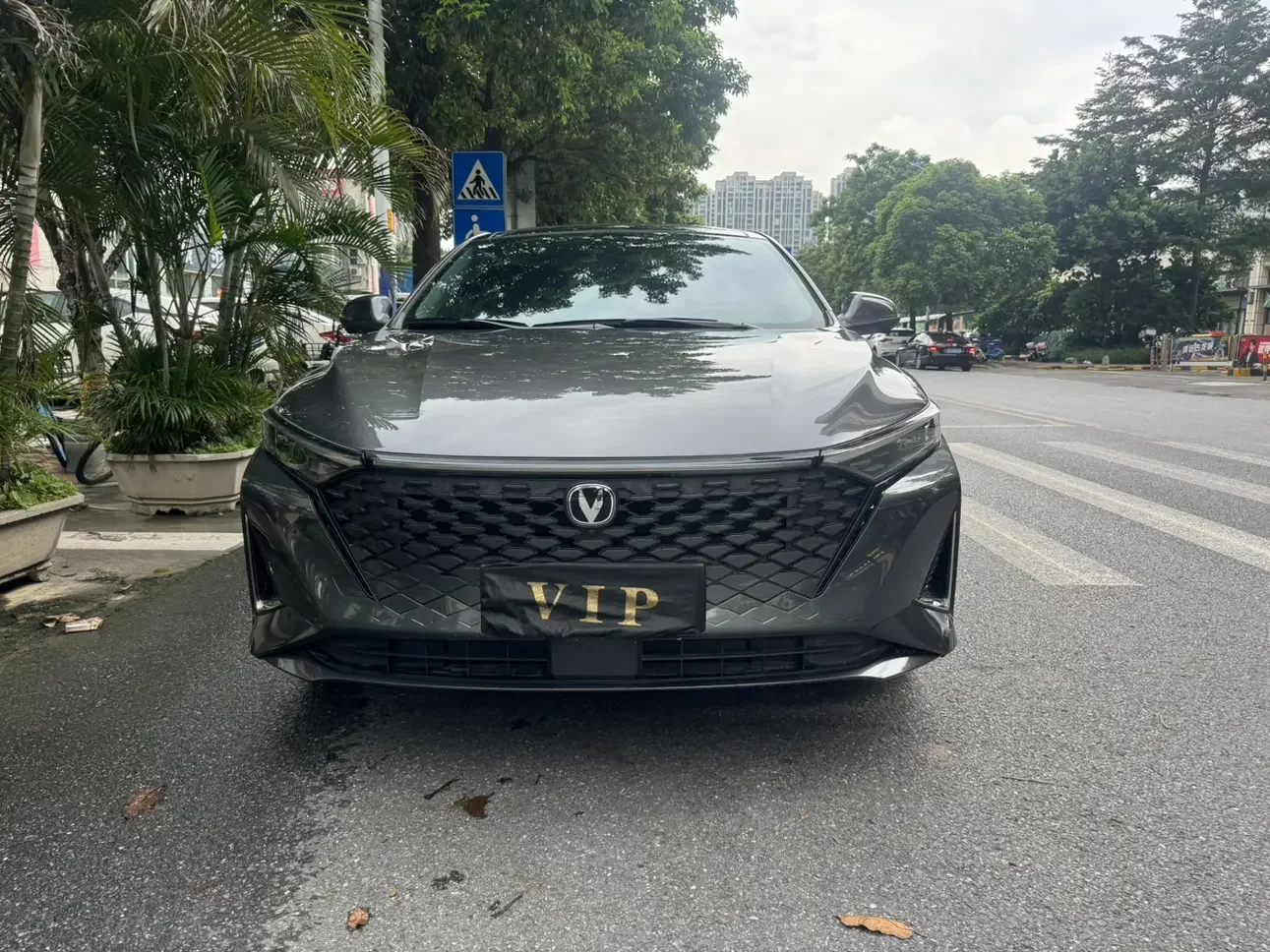 Changan Ruicheng PLUS
