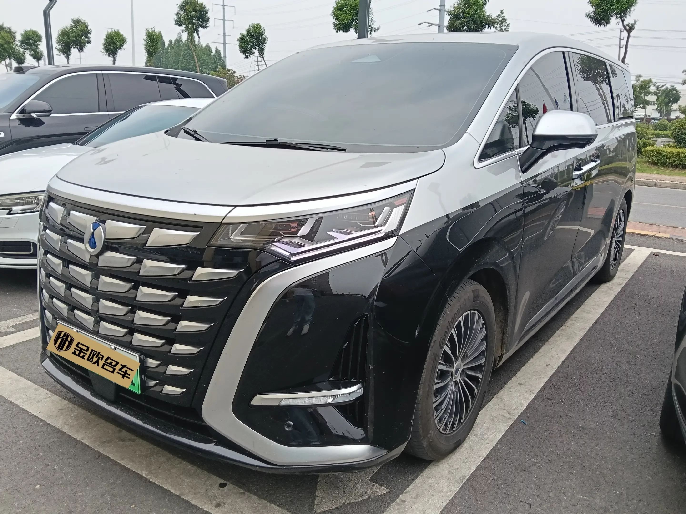 Denza D9 DM