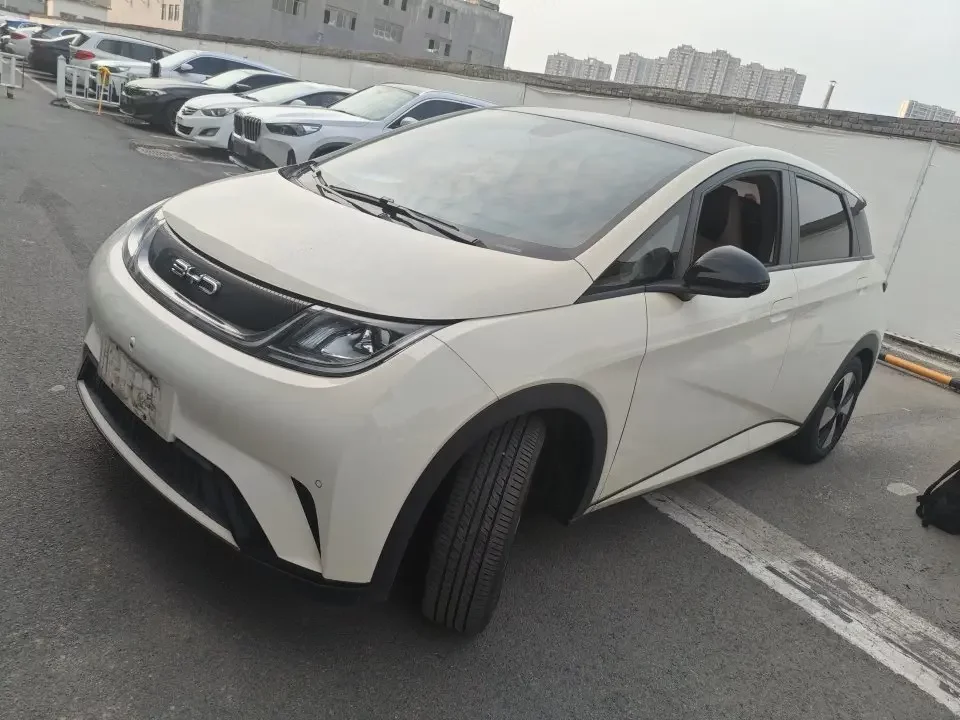 BYD dolphin