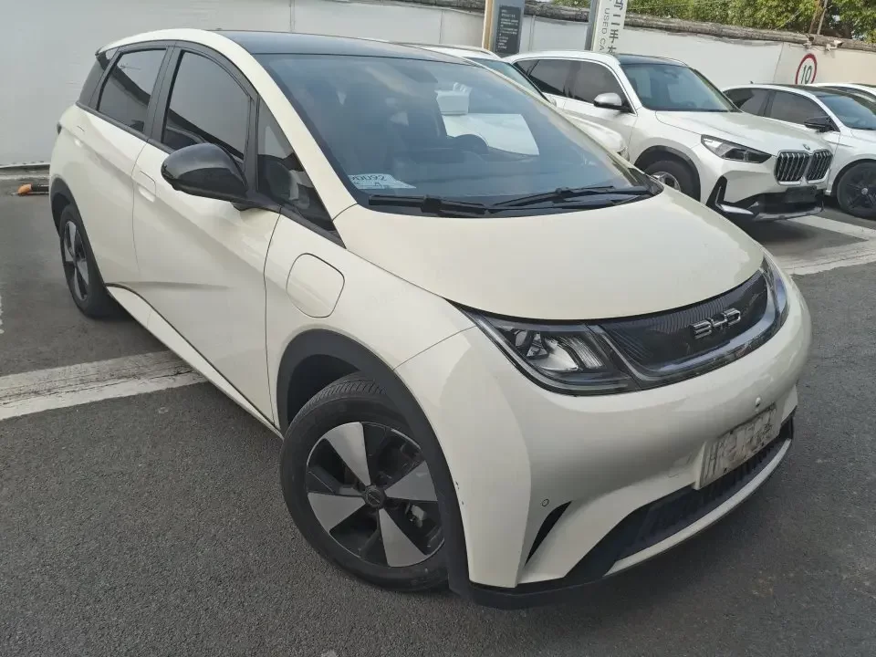 BYD dolphin