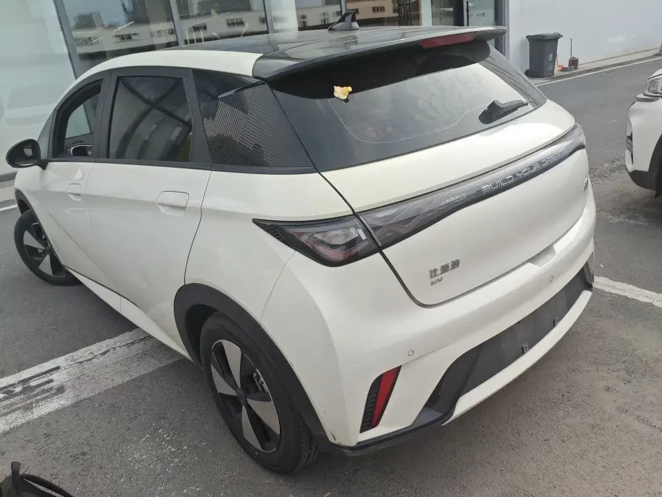 BYD dolphin