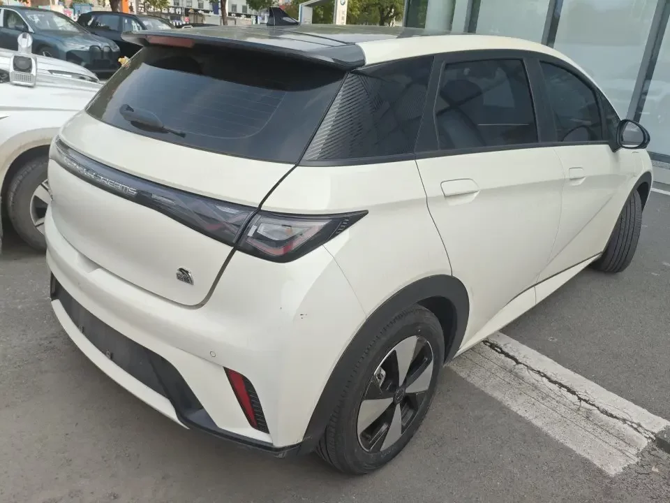 BYD dolphin