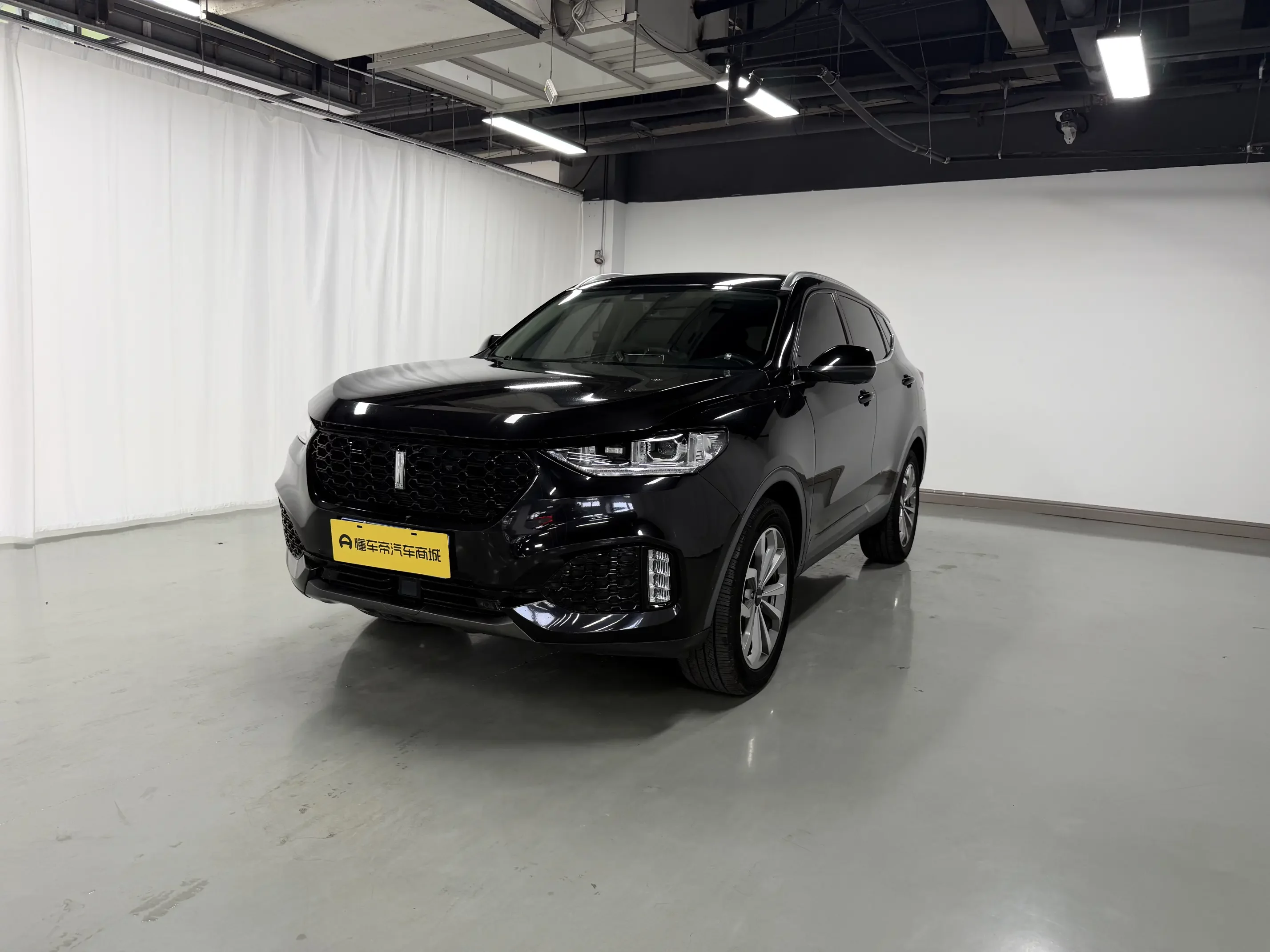 Wey Wei brand VV6