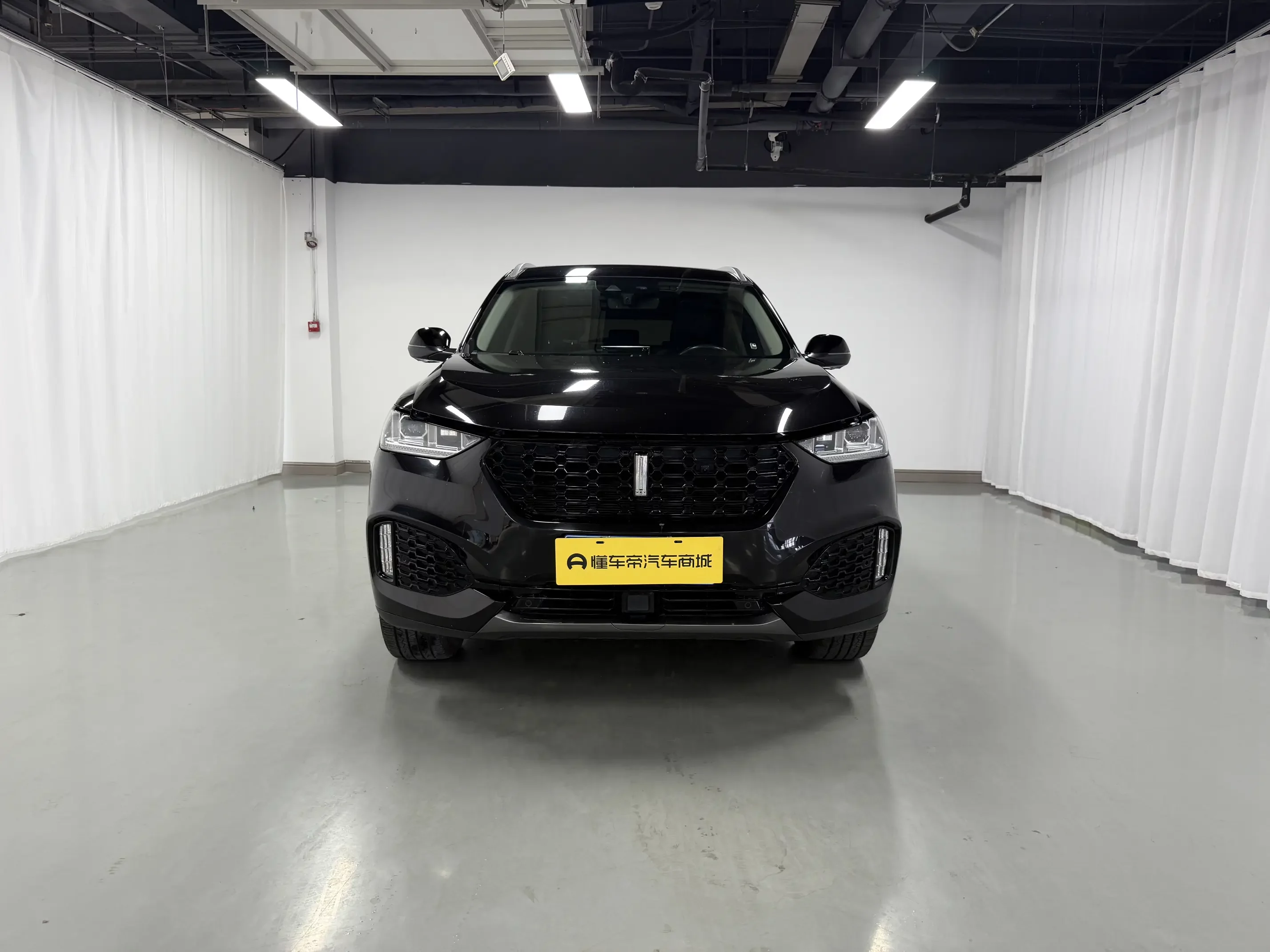 Wey Wei brand VV6