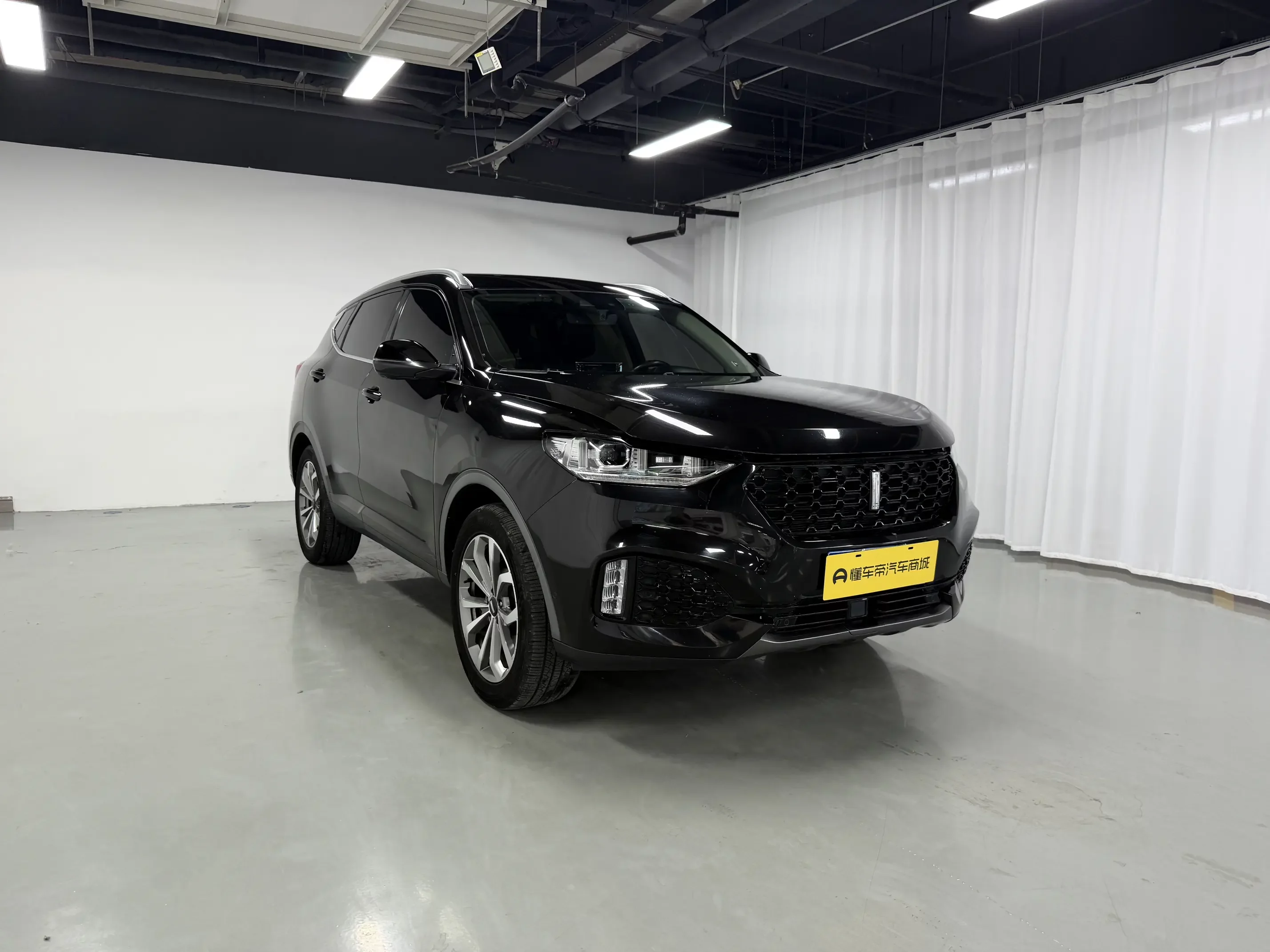 Wey Wei brand VV6