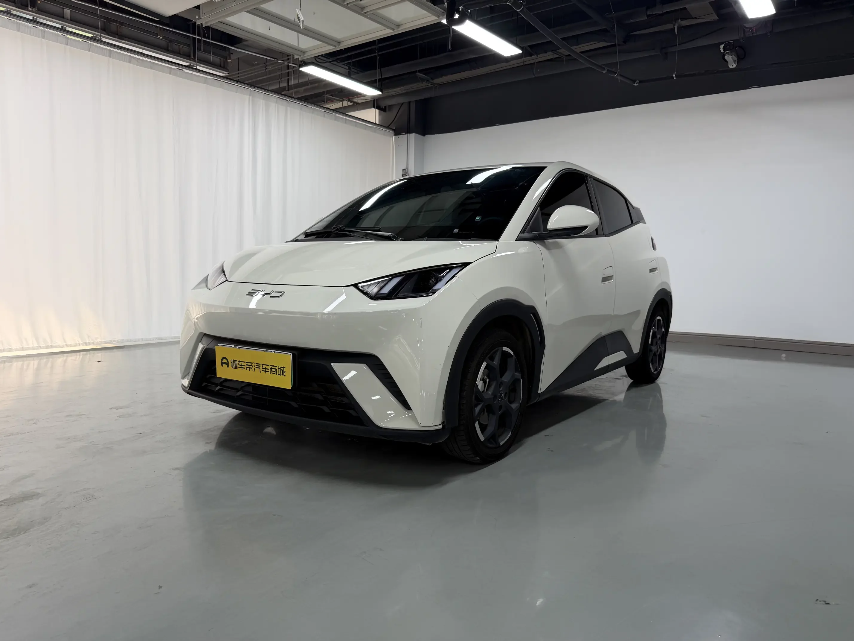 BYD seagull
