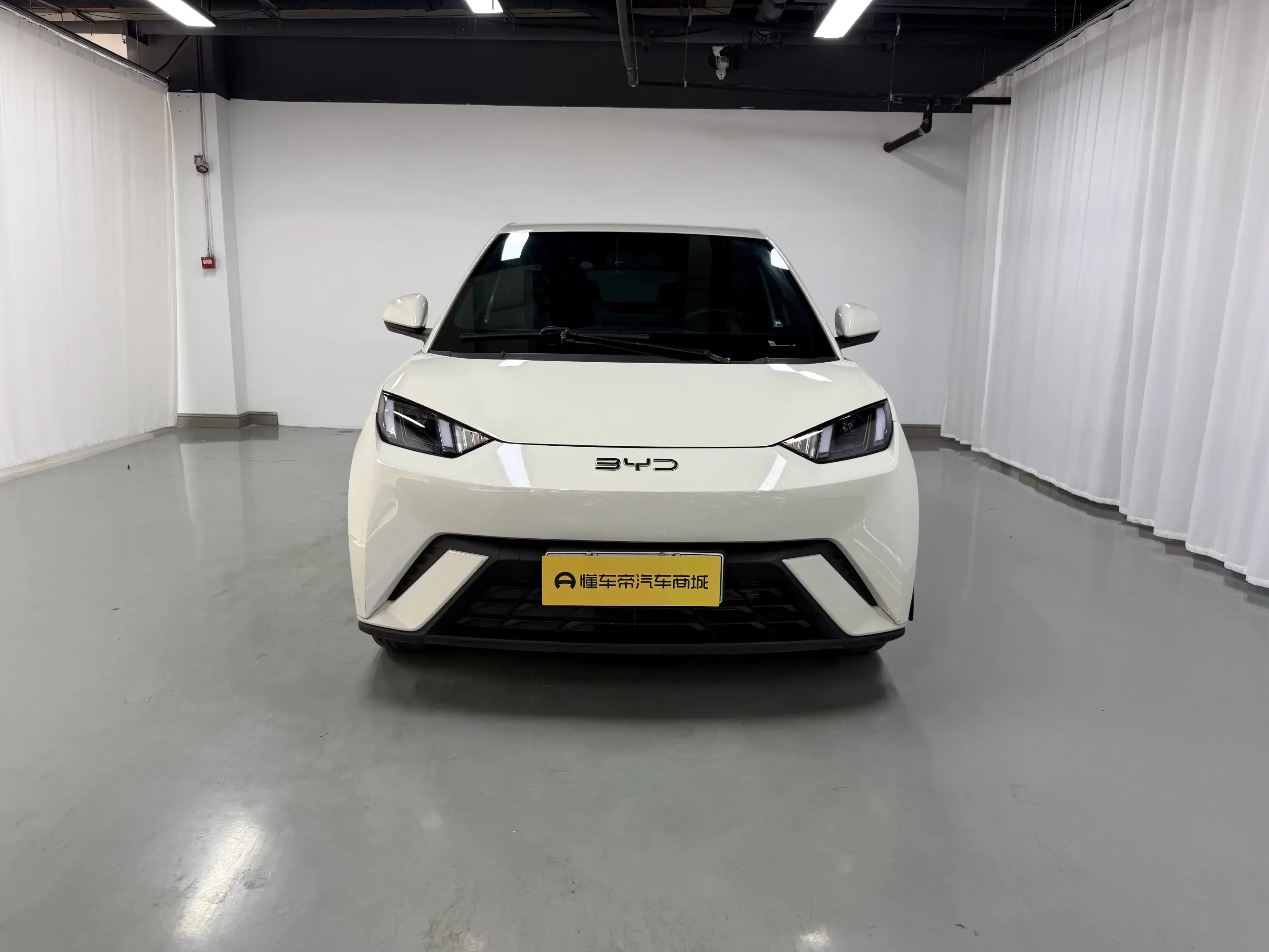 BYD seagull