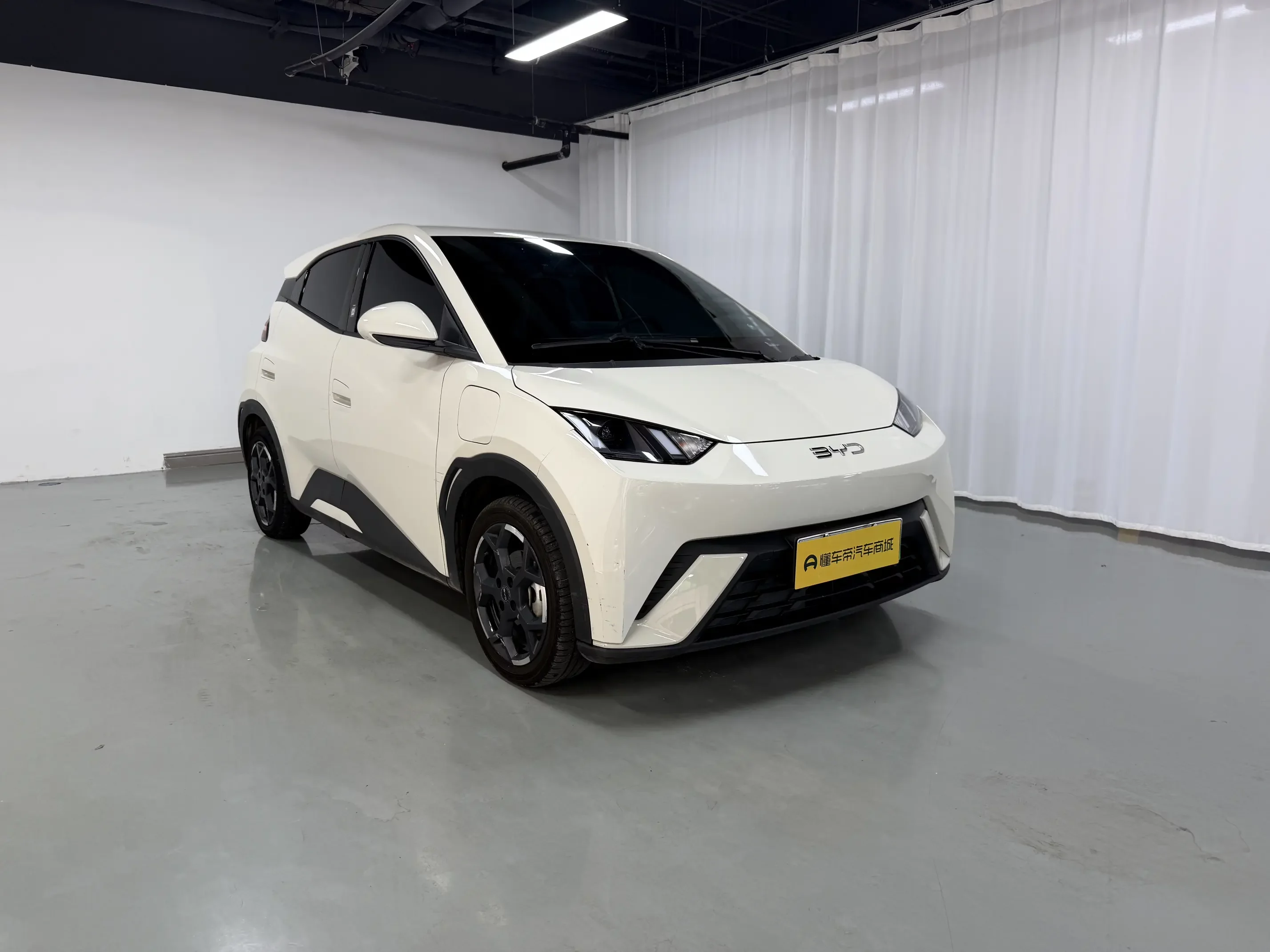 BYD seagull