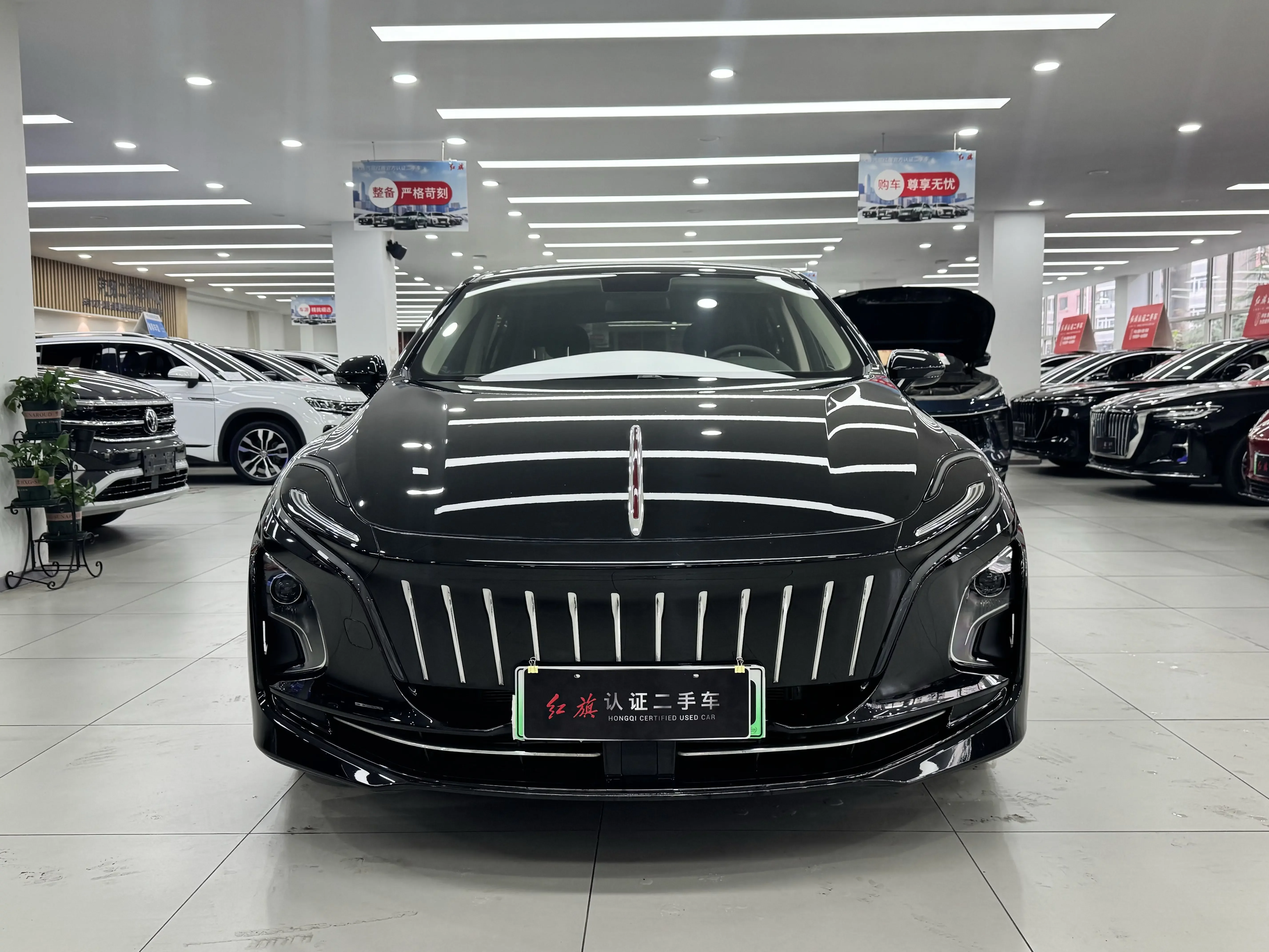 Hongqi E-QM5