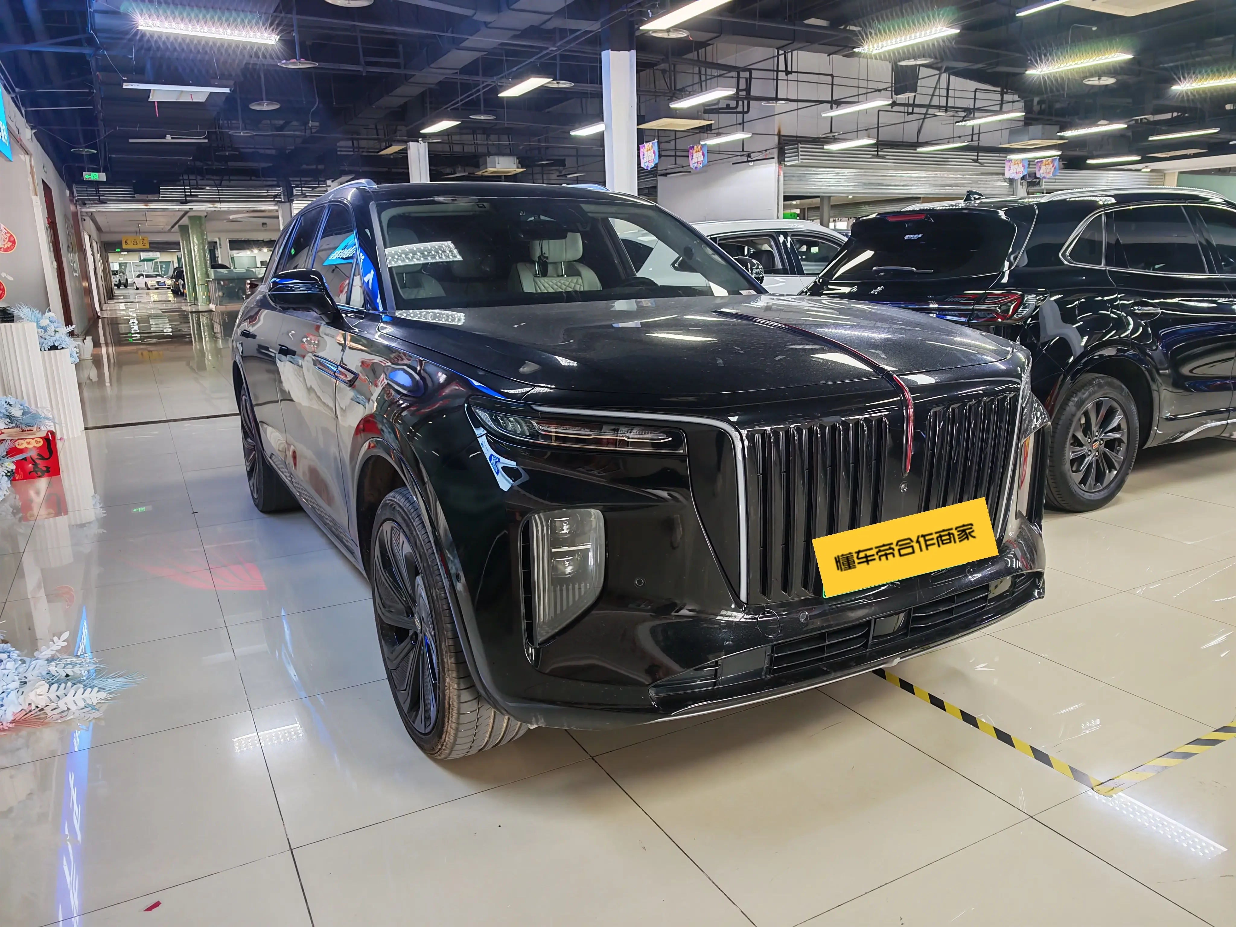 Hongqi E-HS9