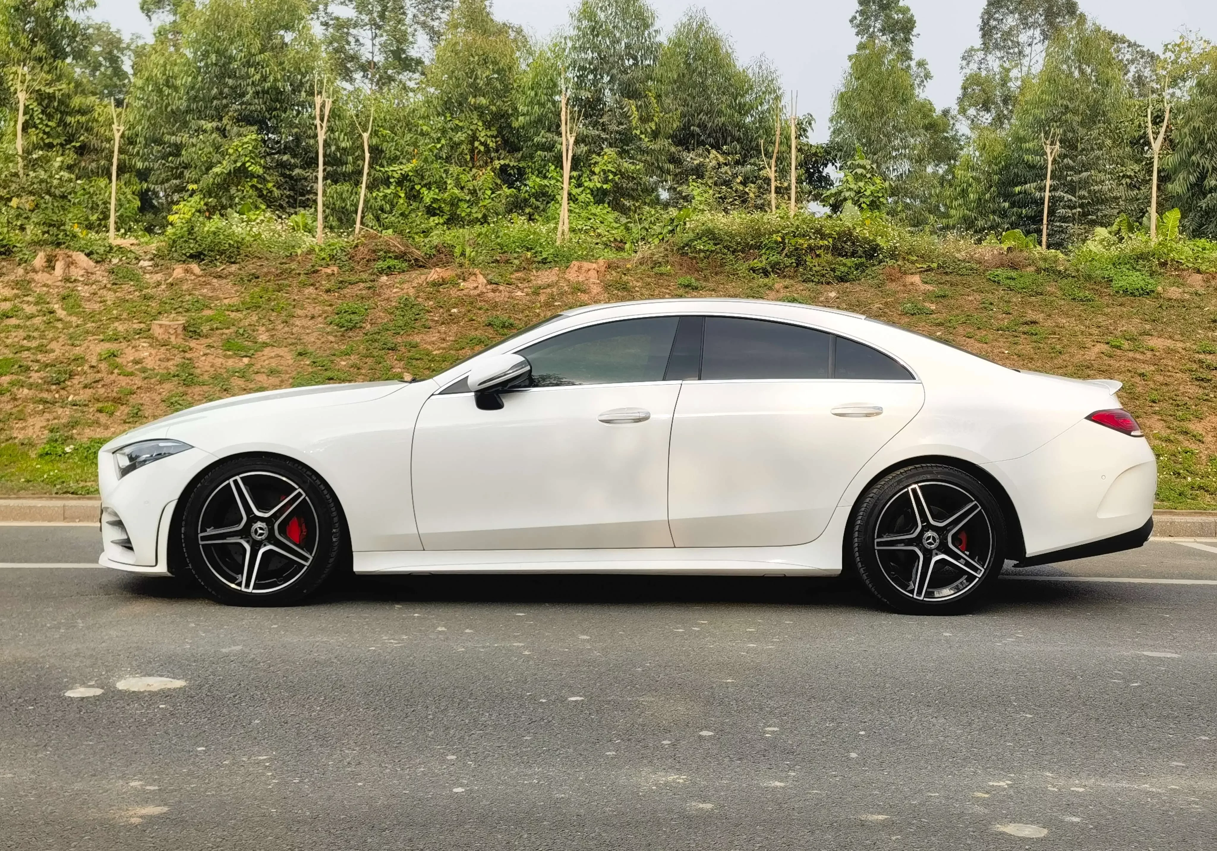 catalog-car-4