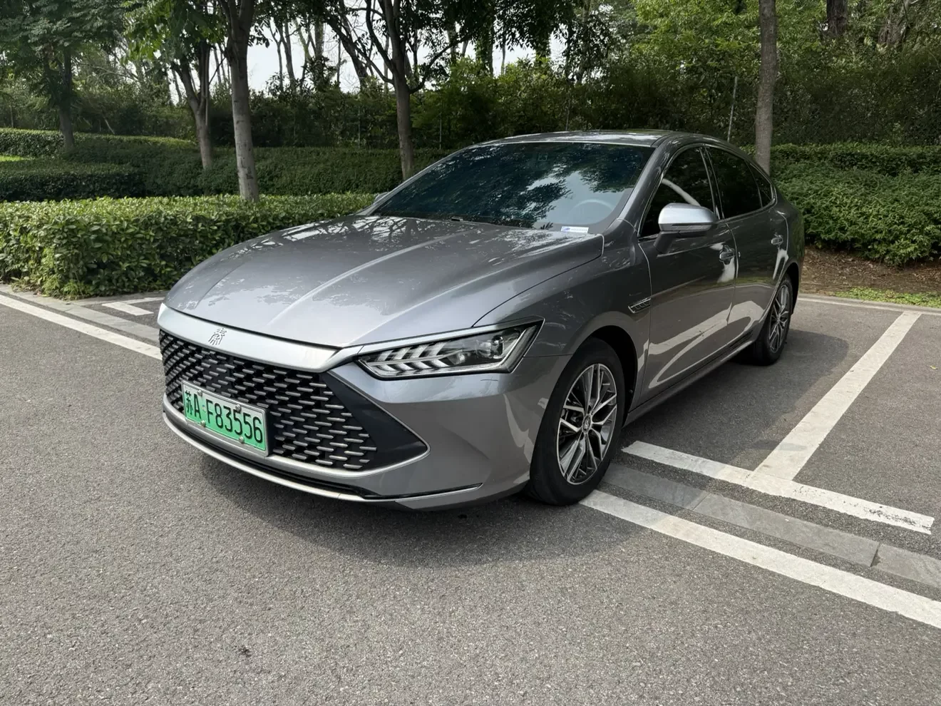 BYD Qin PLUS DM