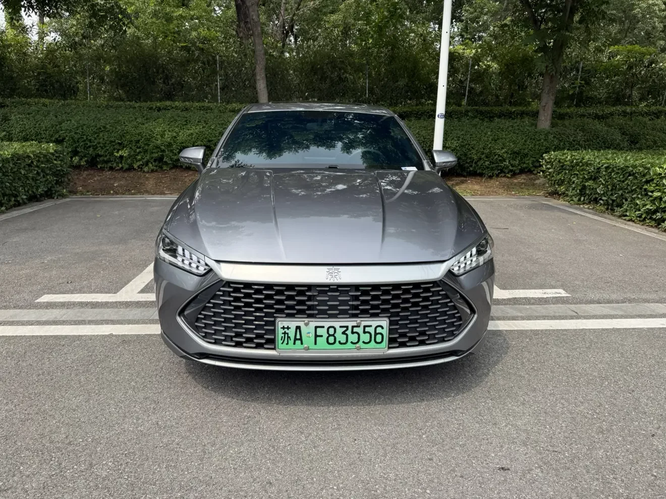 BYD Qin PLUS DM