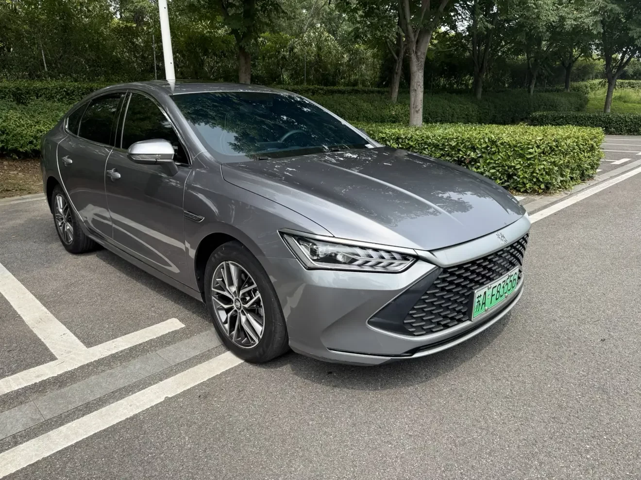 BYD Qin PLUS DM