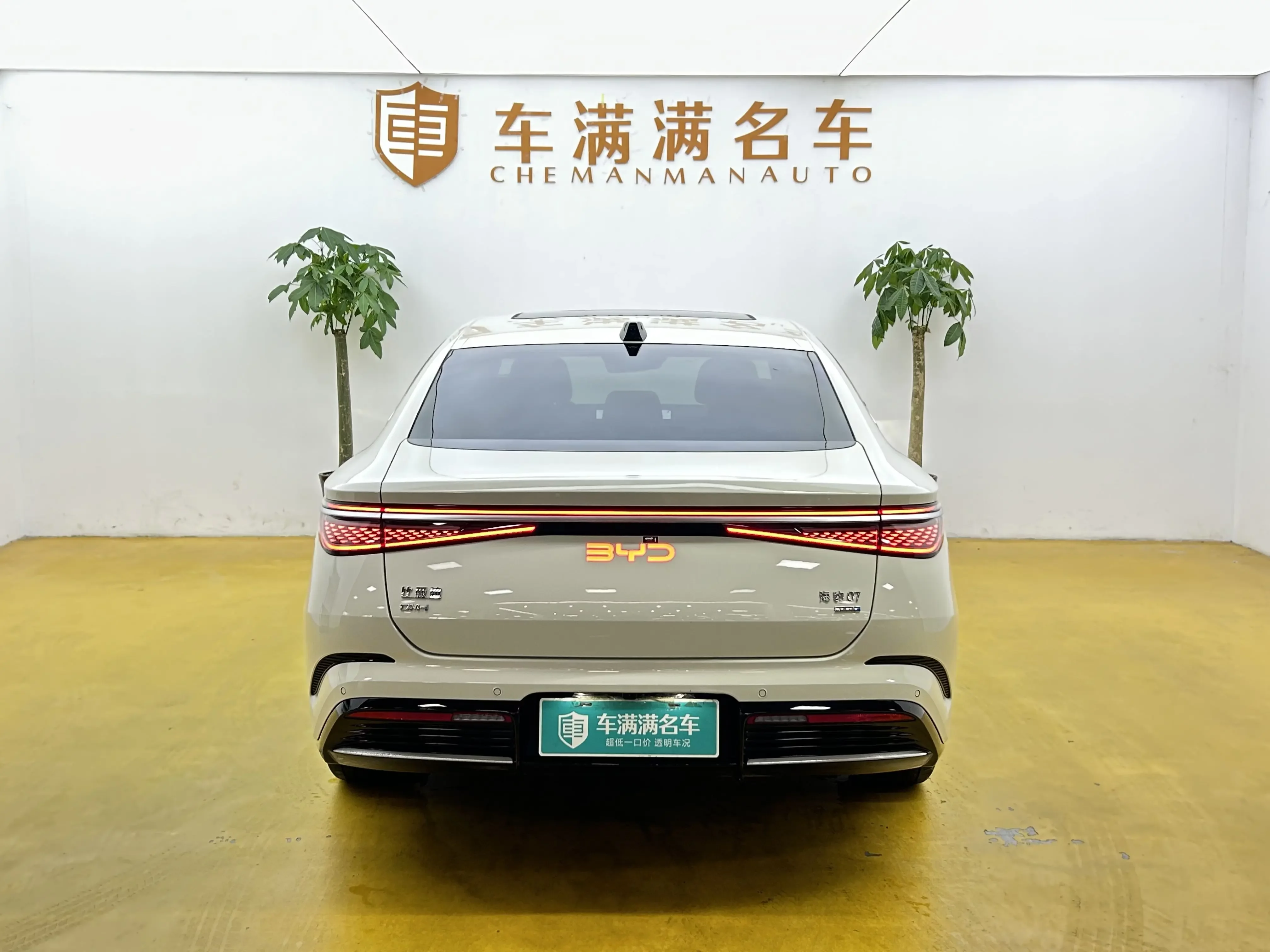 BYD Seal 07DM