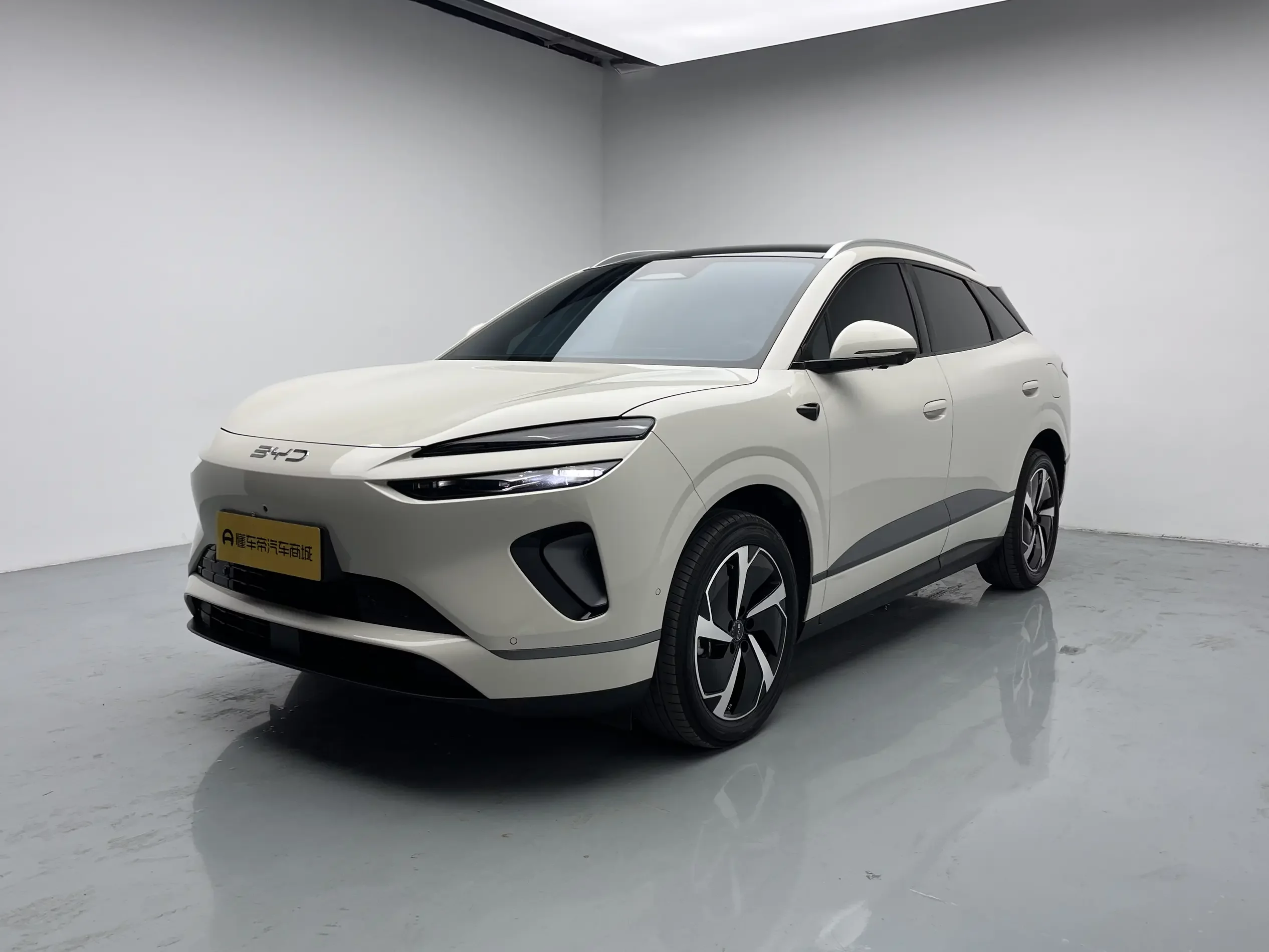 BYD Sea Lion 06DM