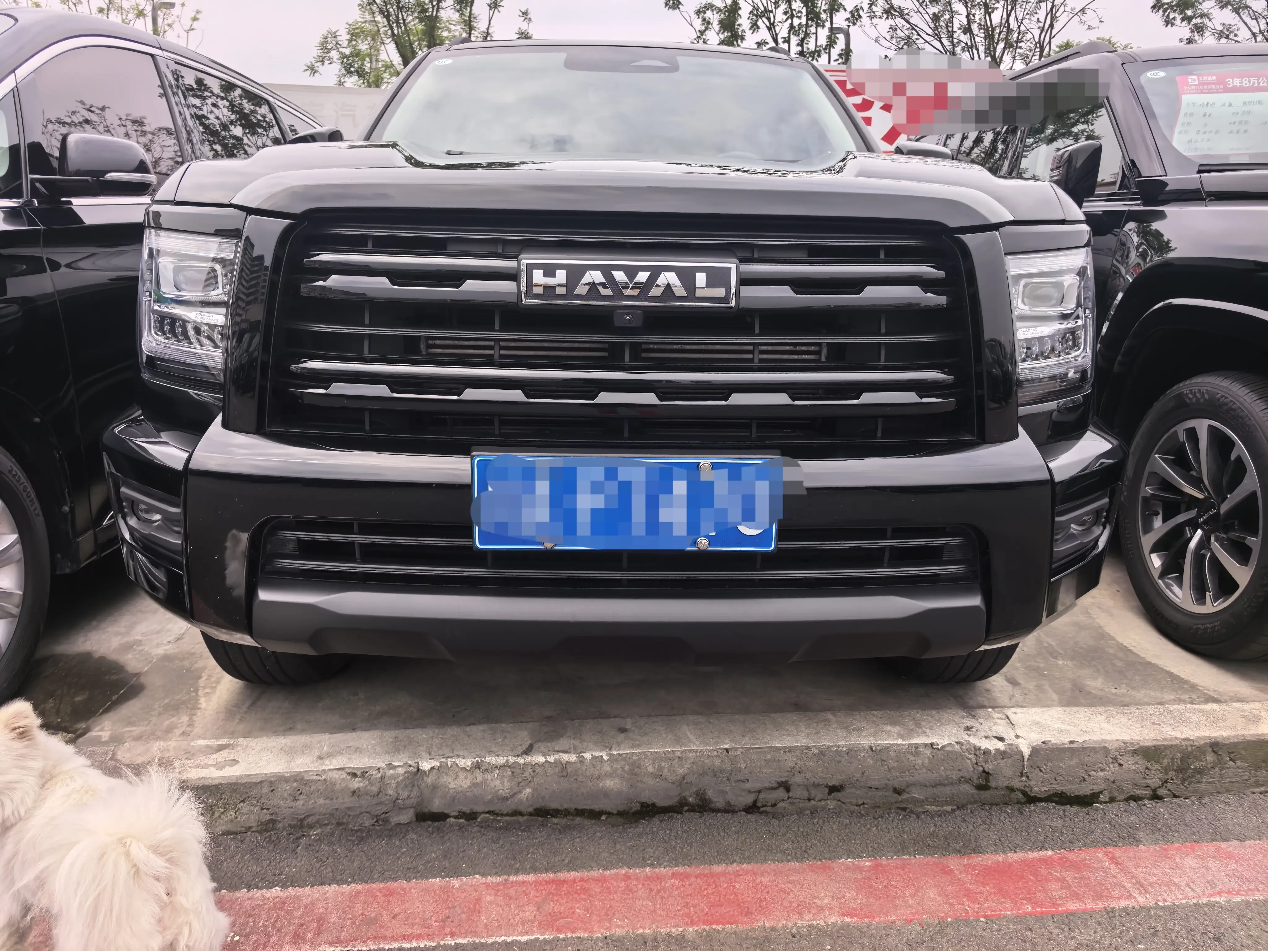 Haval H5