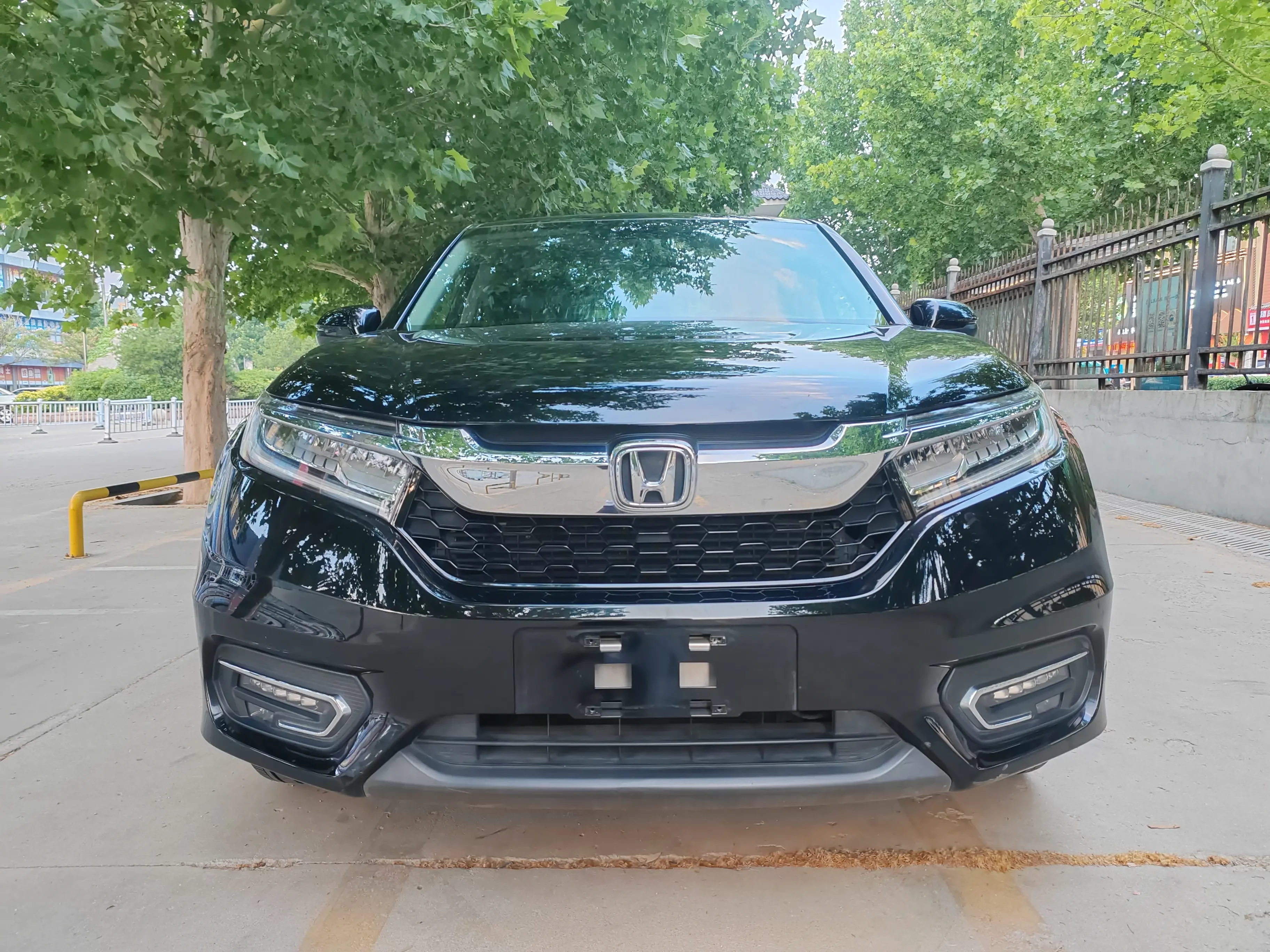 Honda Avancier