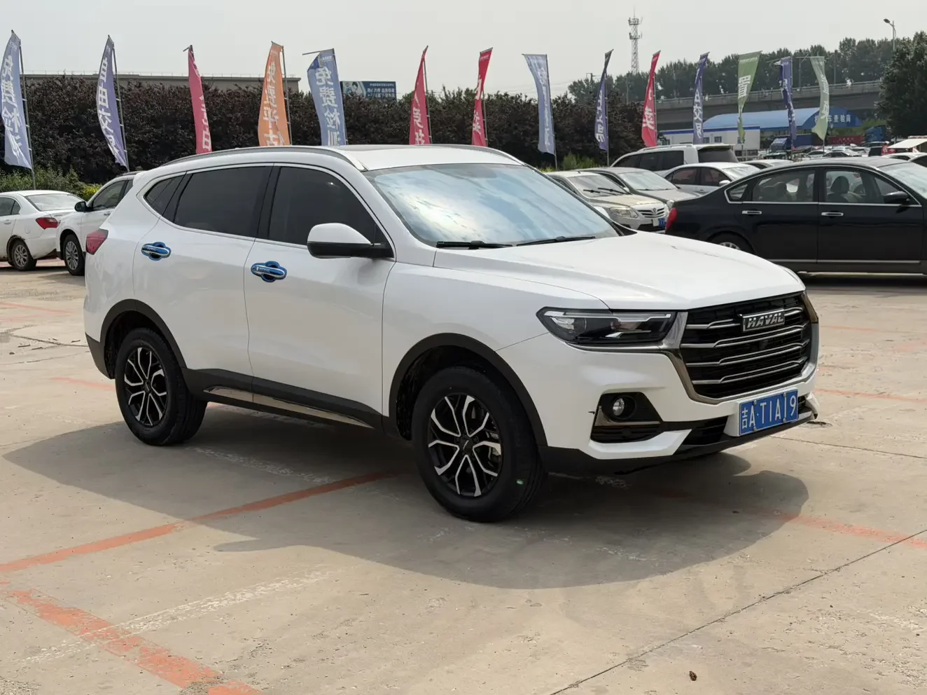 Haval H6
