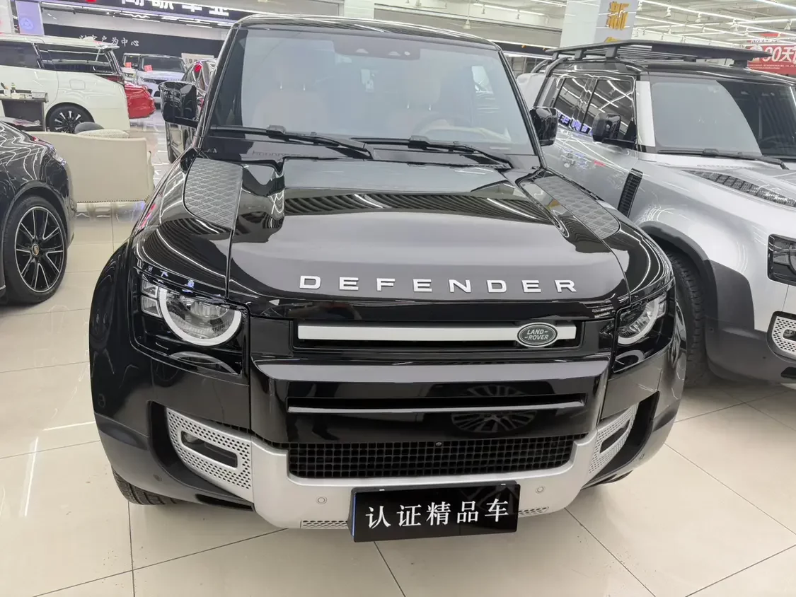 Land Rover guard