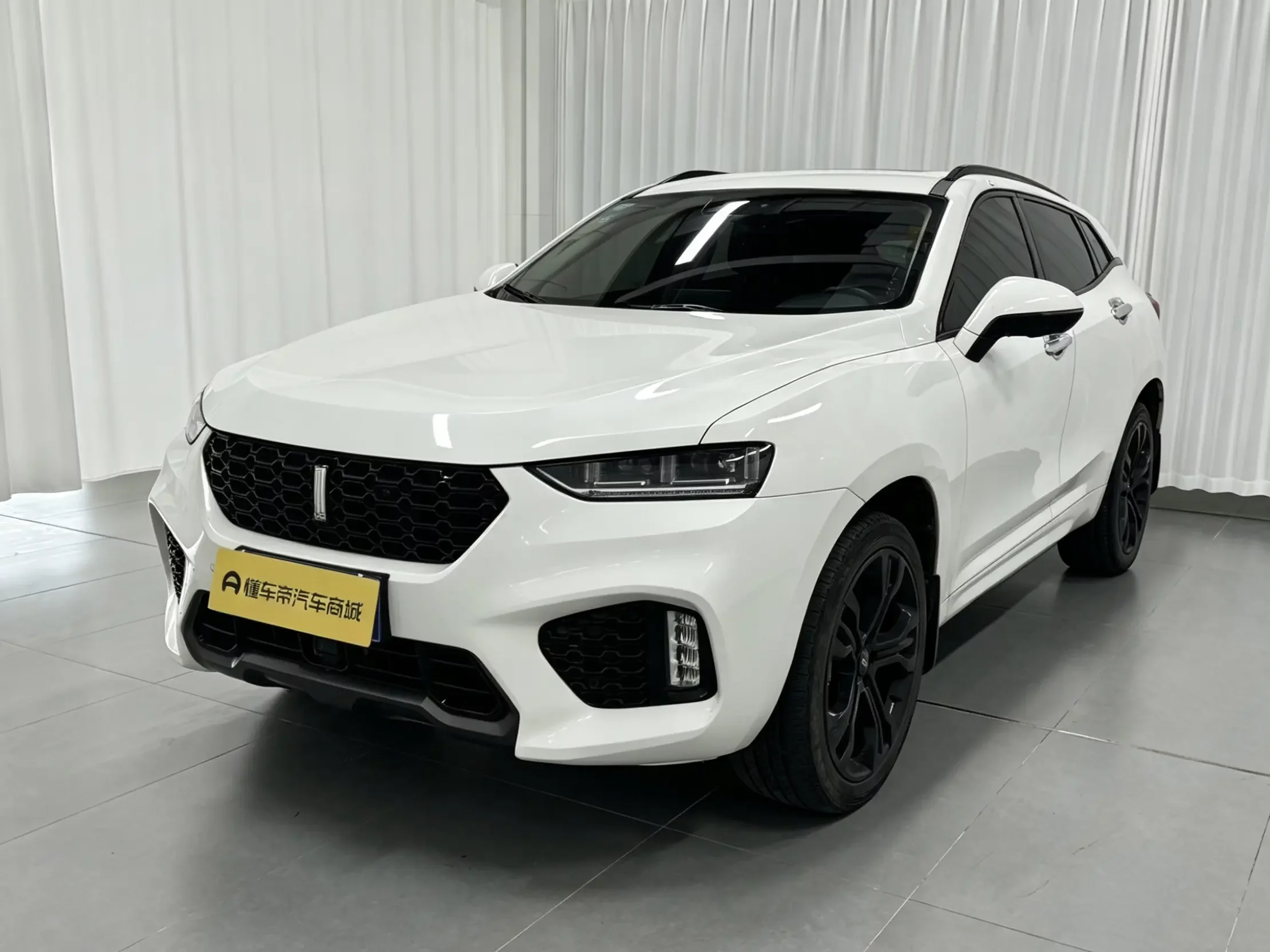 Wey Wei brand VV7
