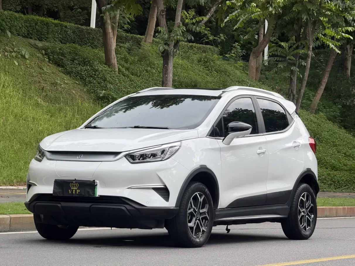 BYD Yuan Pro