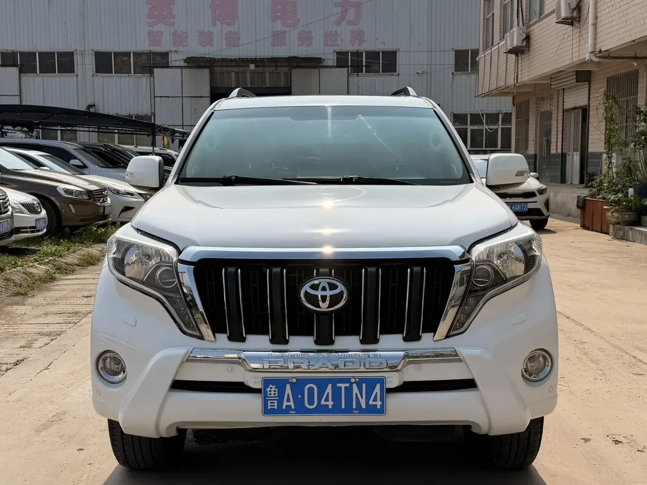 Toyota prado