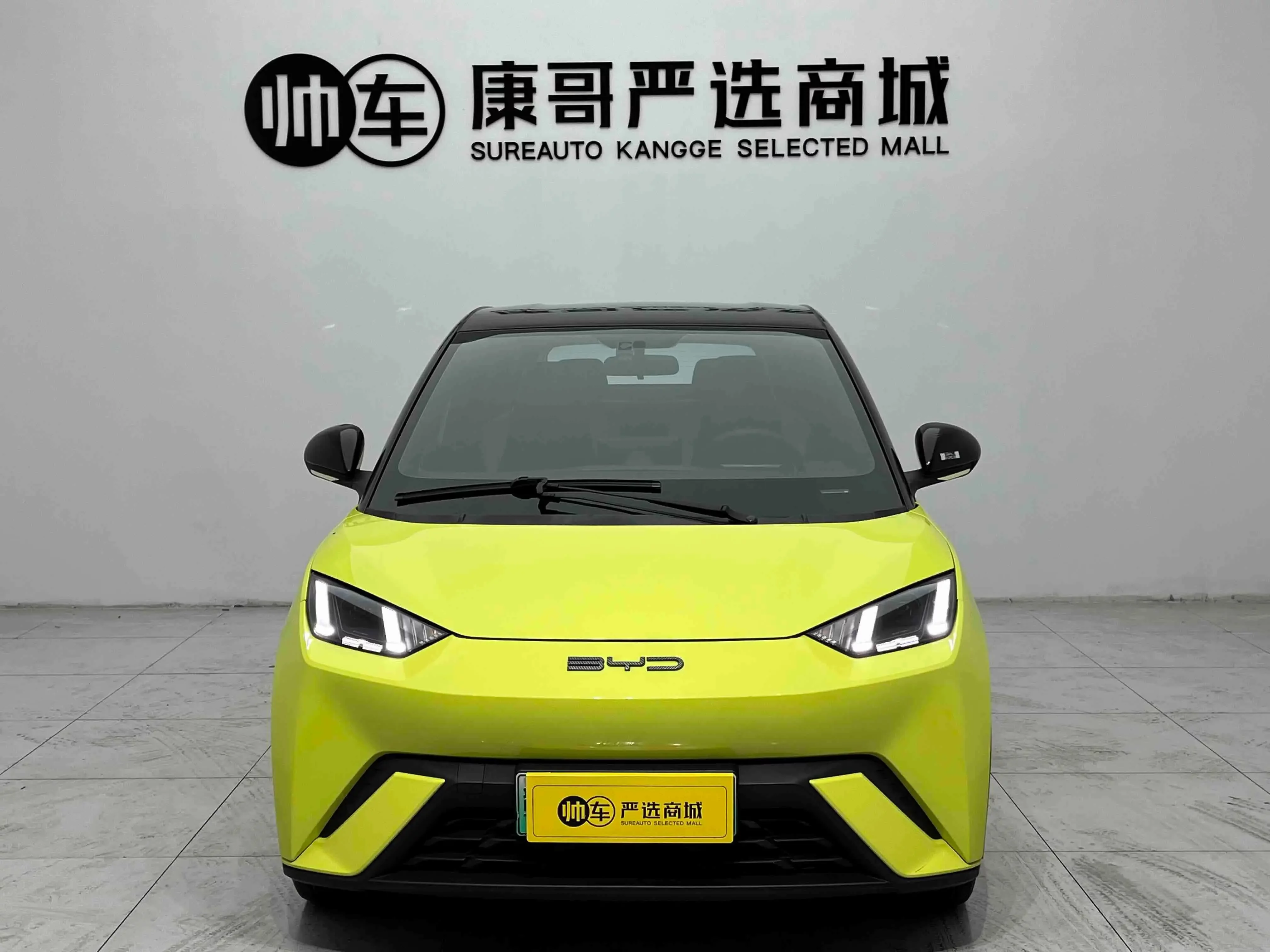 BYD seagull