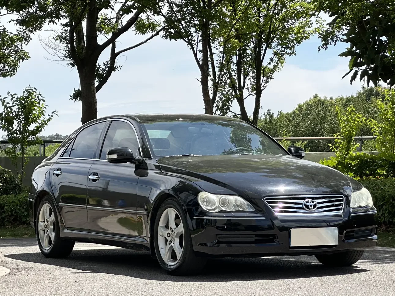 Toyota Ruizhi