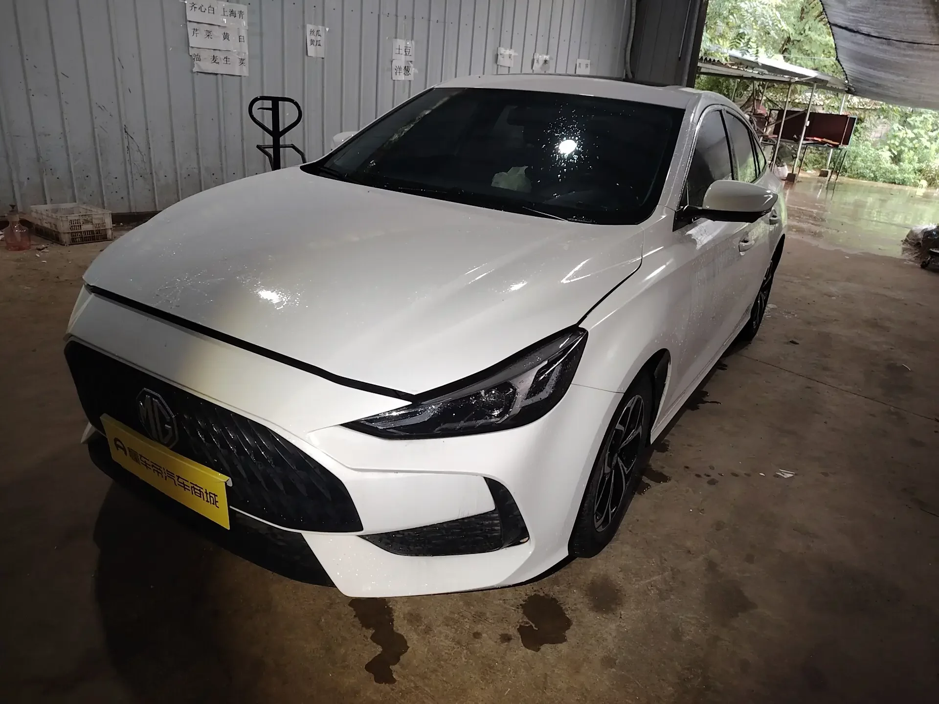 MG 5