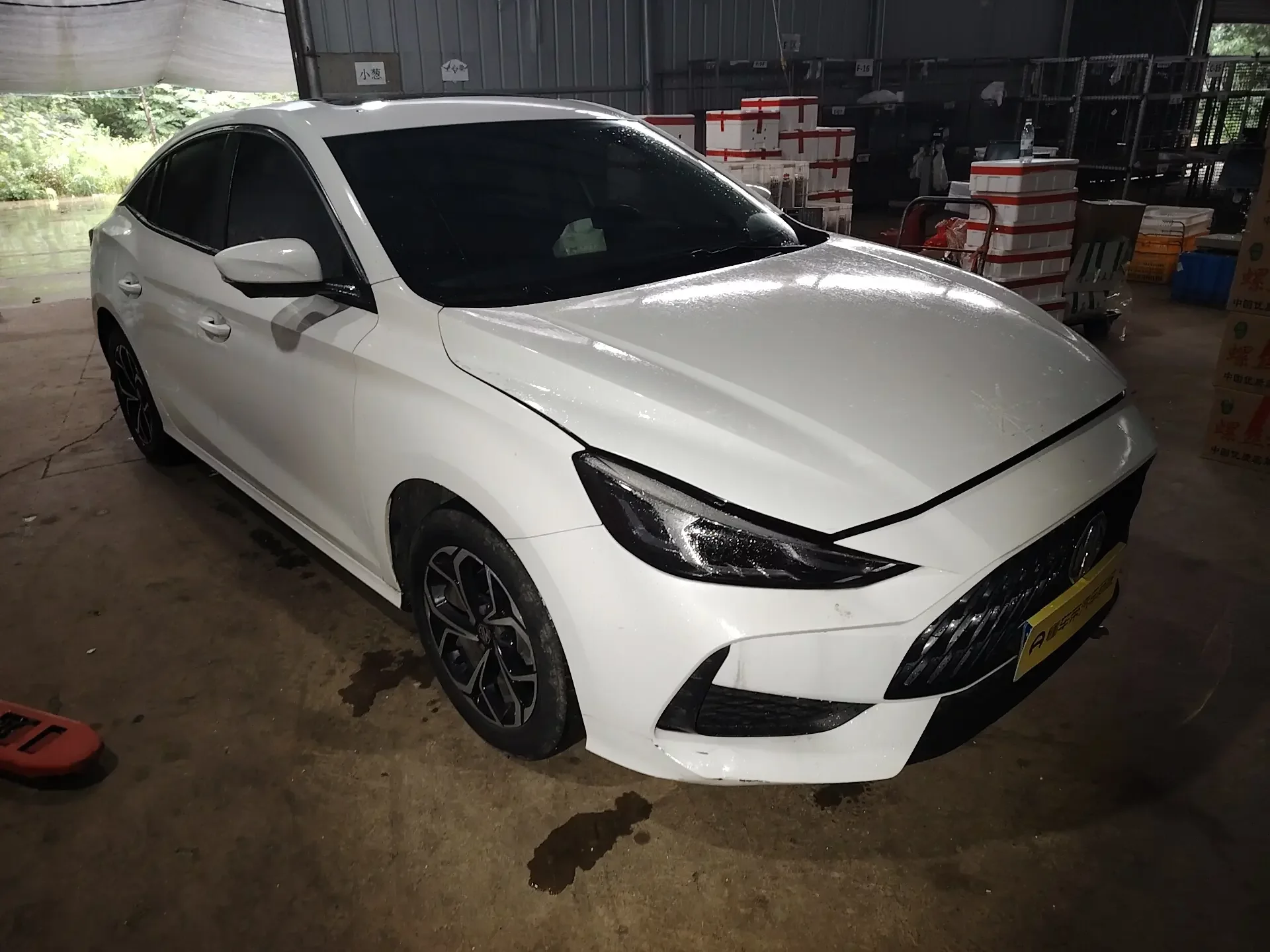 MG 5